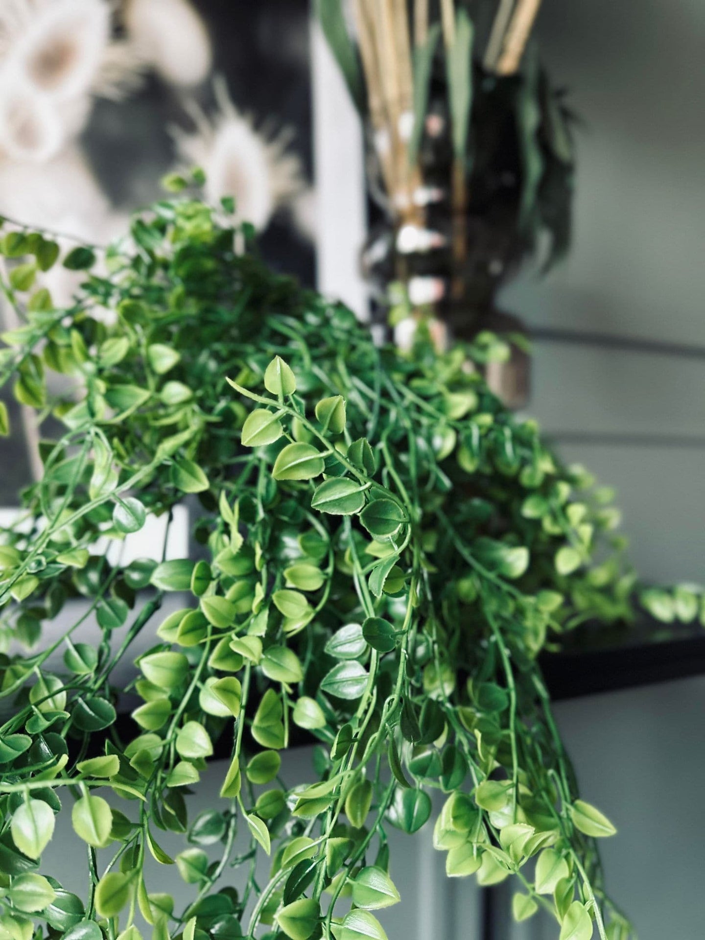 Hängande växt grön