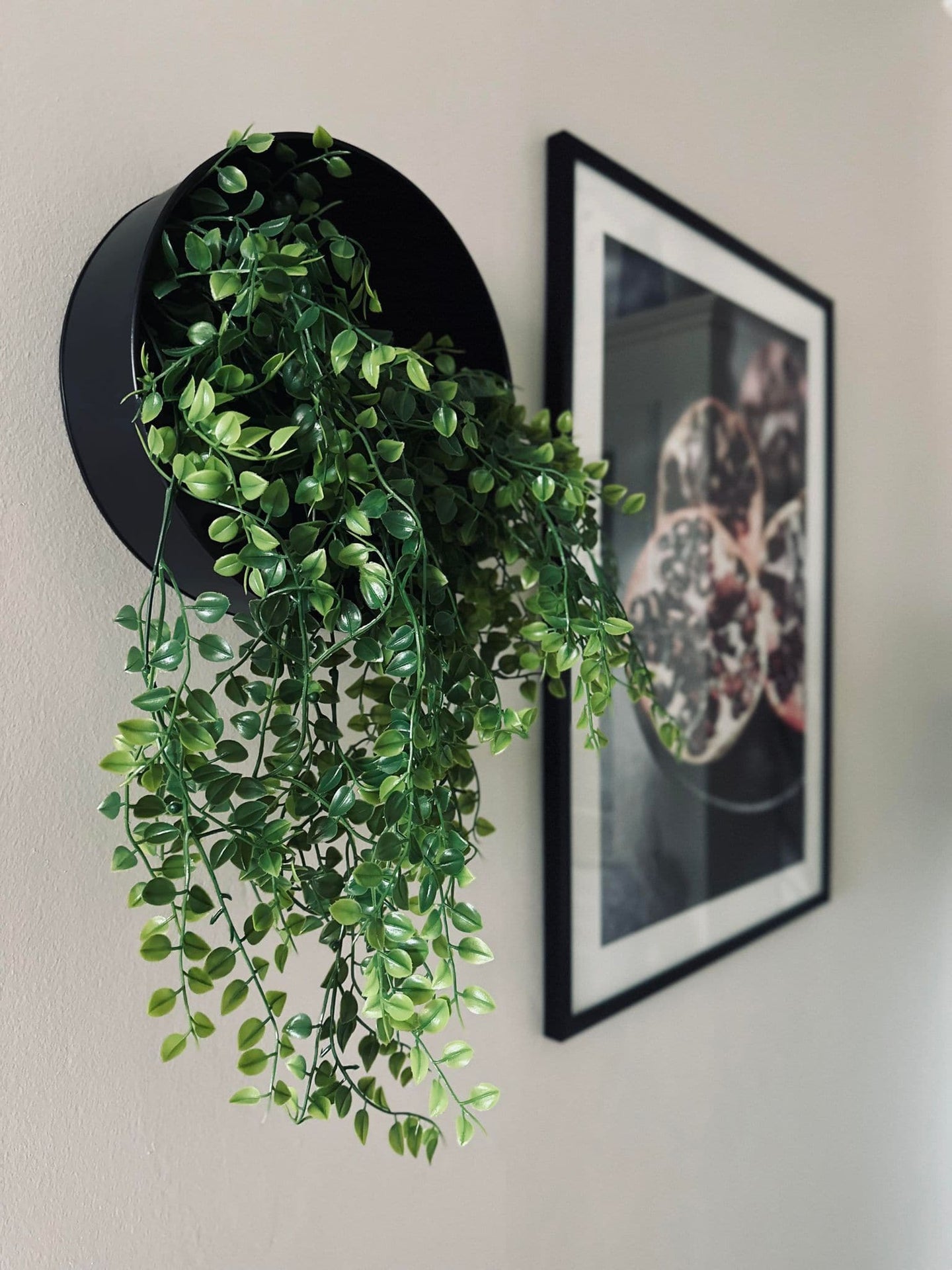 Hängande växt grön