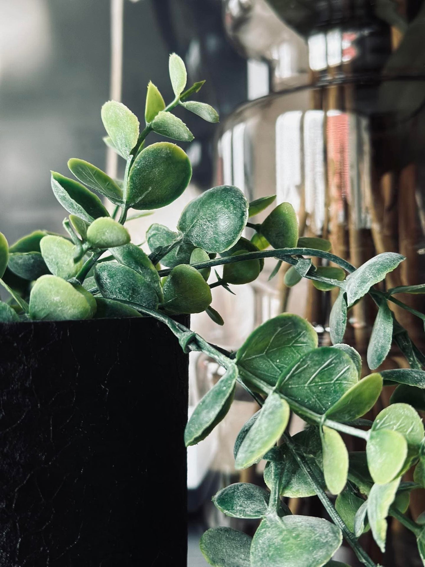 Hängande växt grön