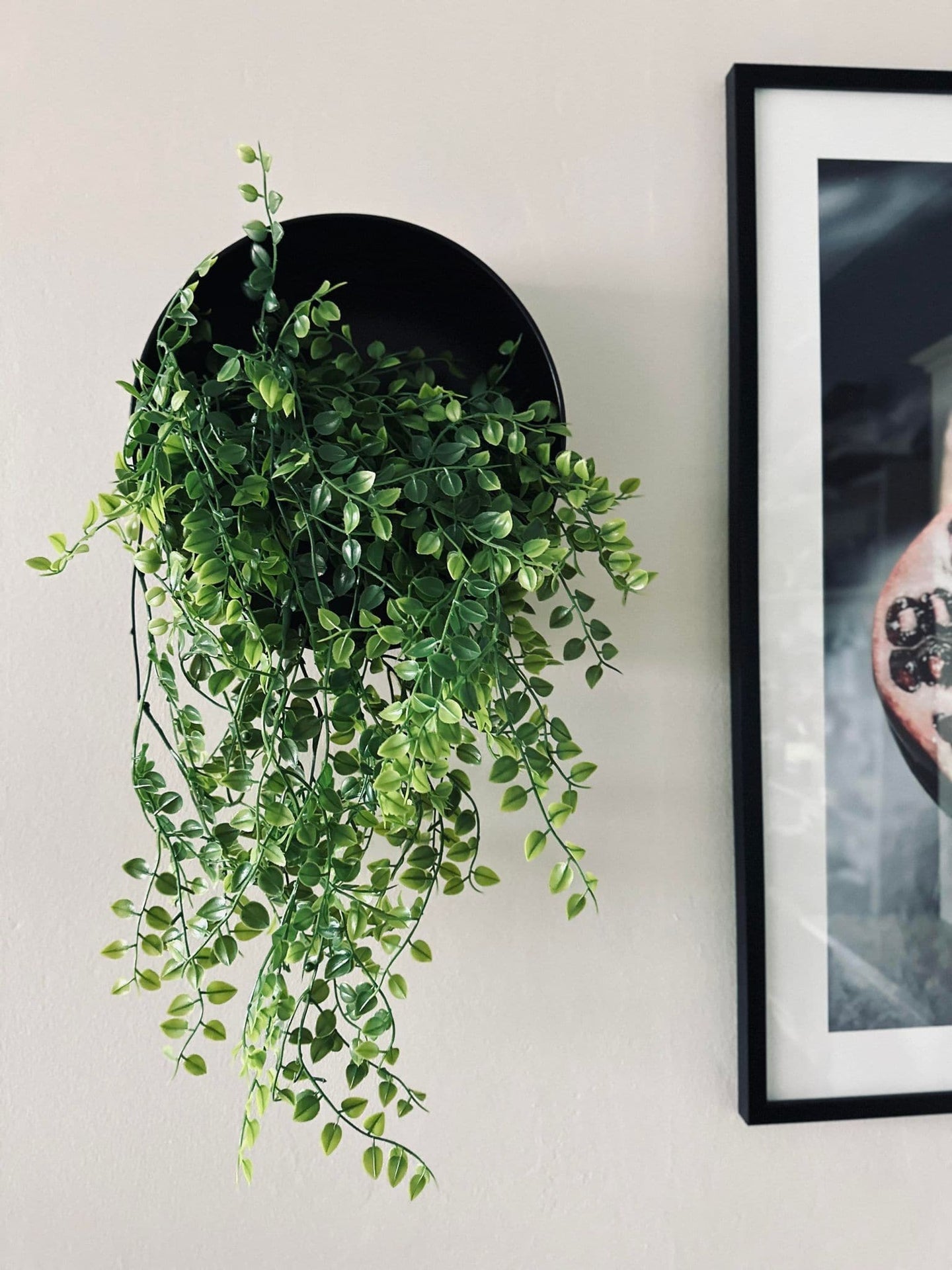Hängande växt grön