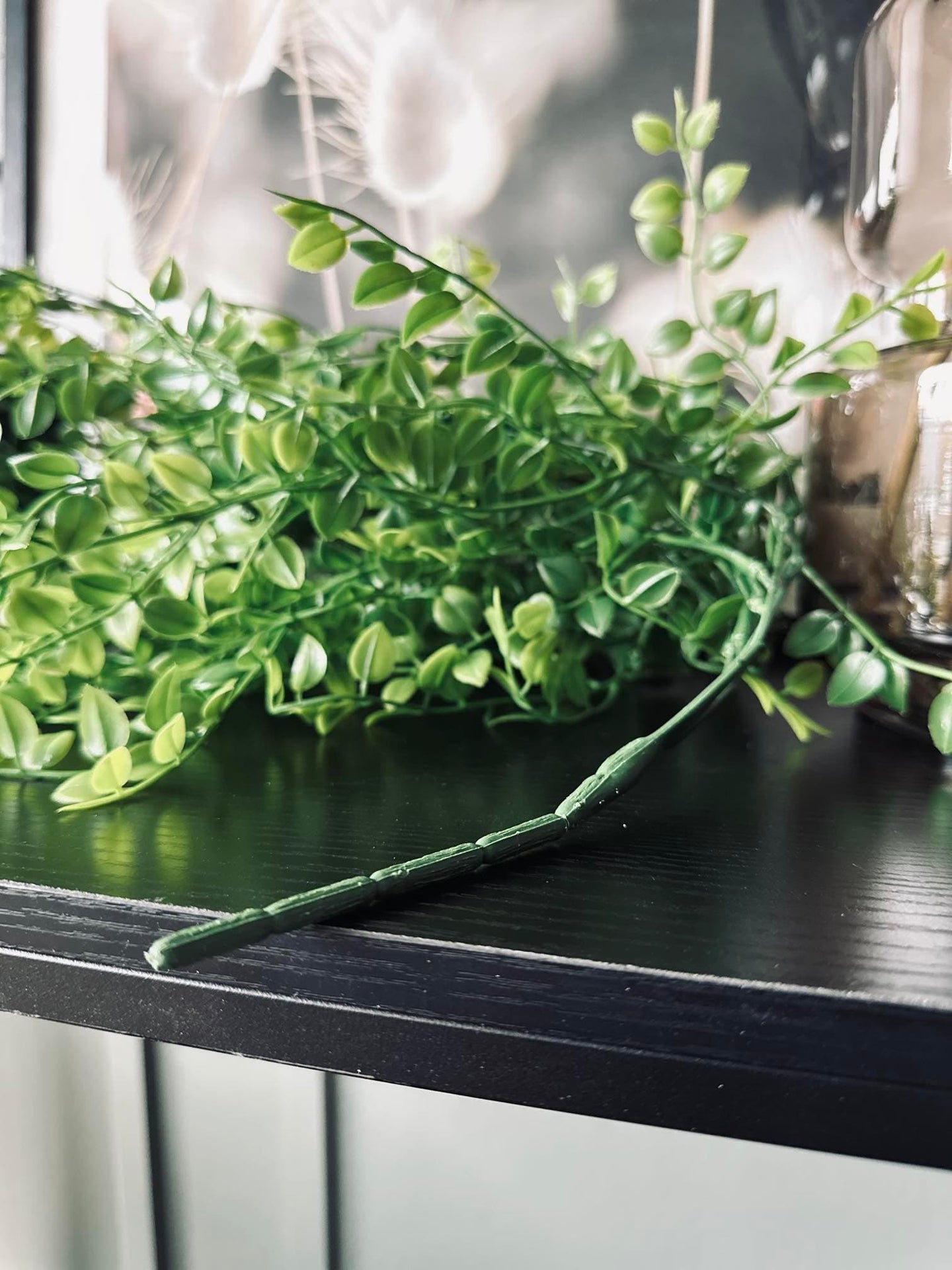 Hängande växt grön