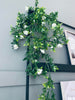 Hängväxt på stam - FLOWER 1