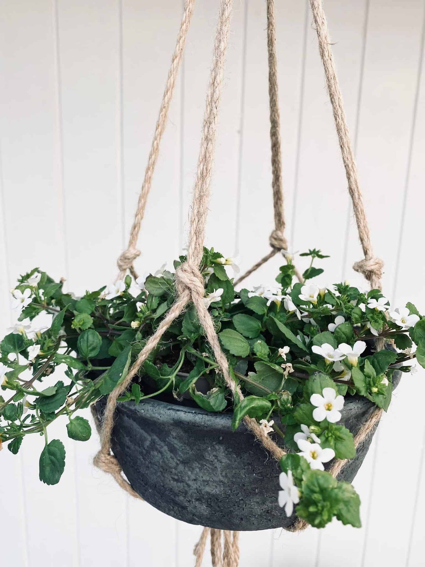 Hængepotte - Grå potte ink ophæng - VIAMAJA.DK