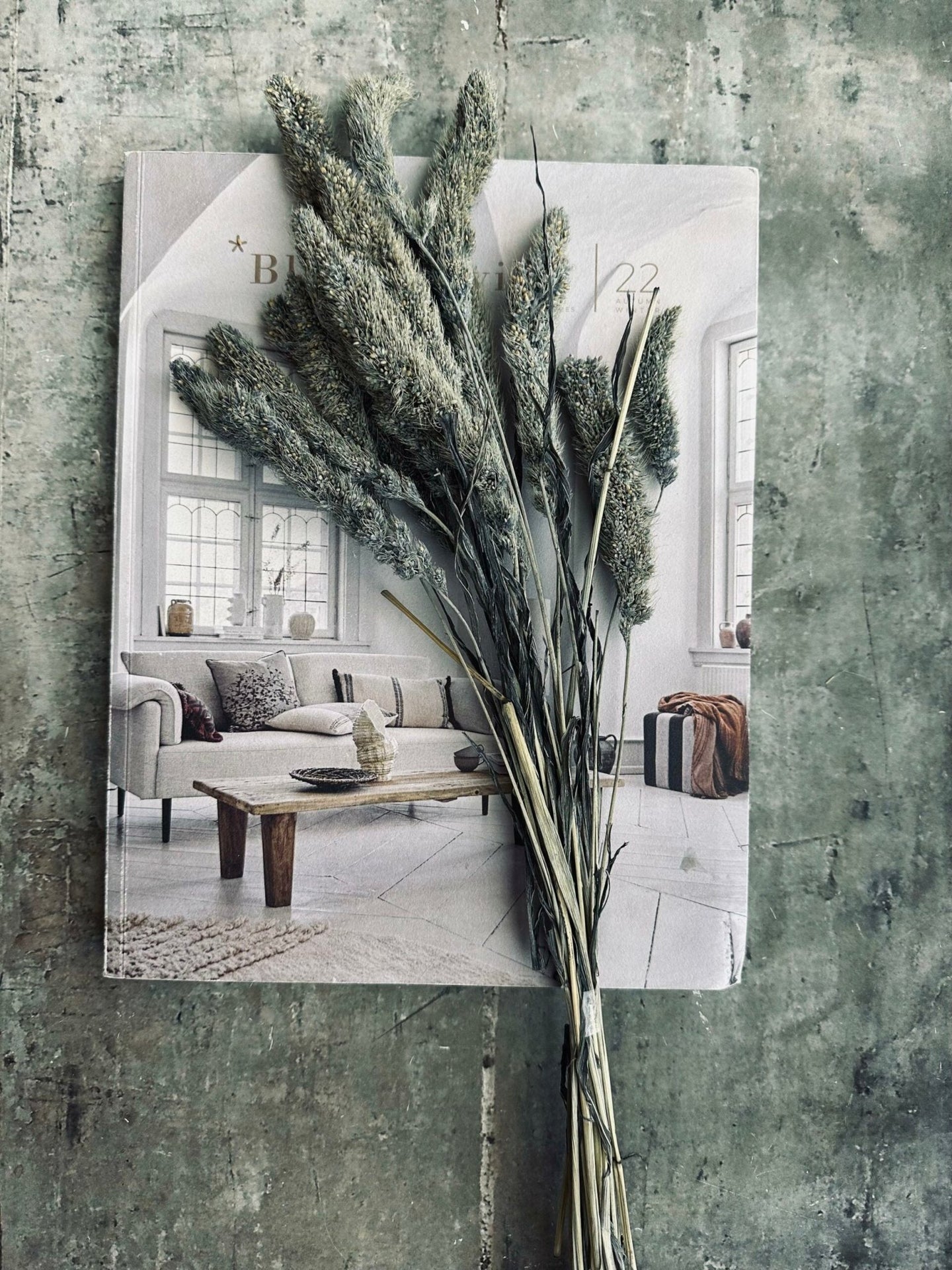 Hirse Grey - VIAMAJA.DK