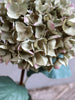 Hortensia med blad H80cm