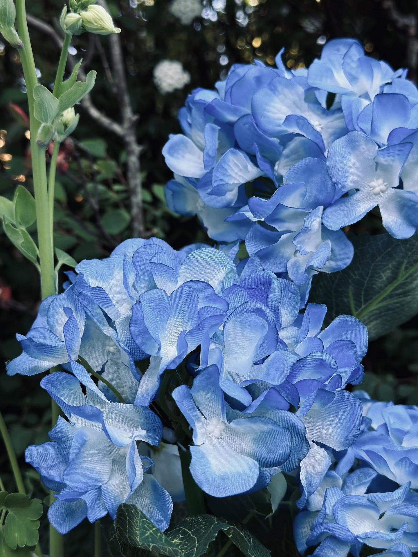Hortensia med solceller – Blå - VIAMAJA.DK