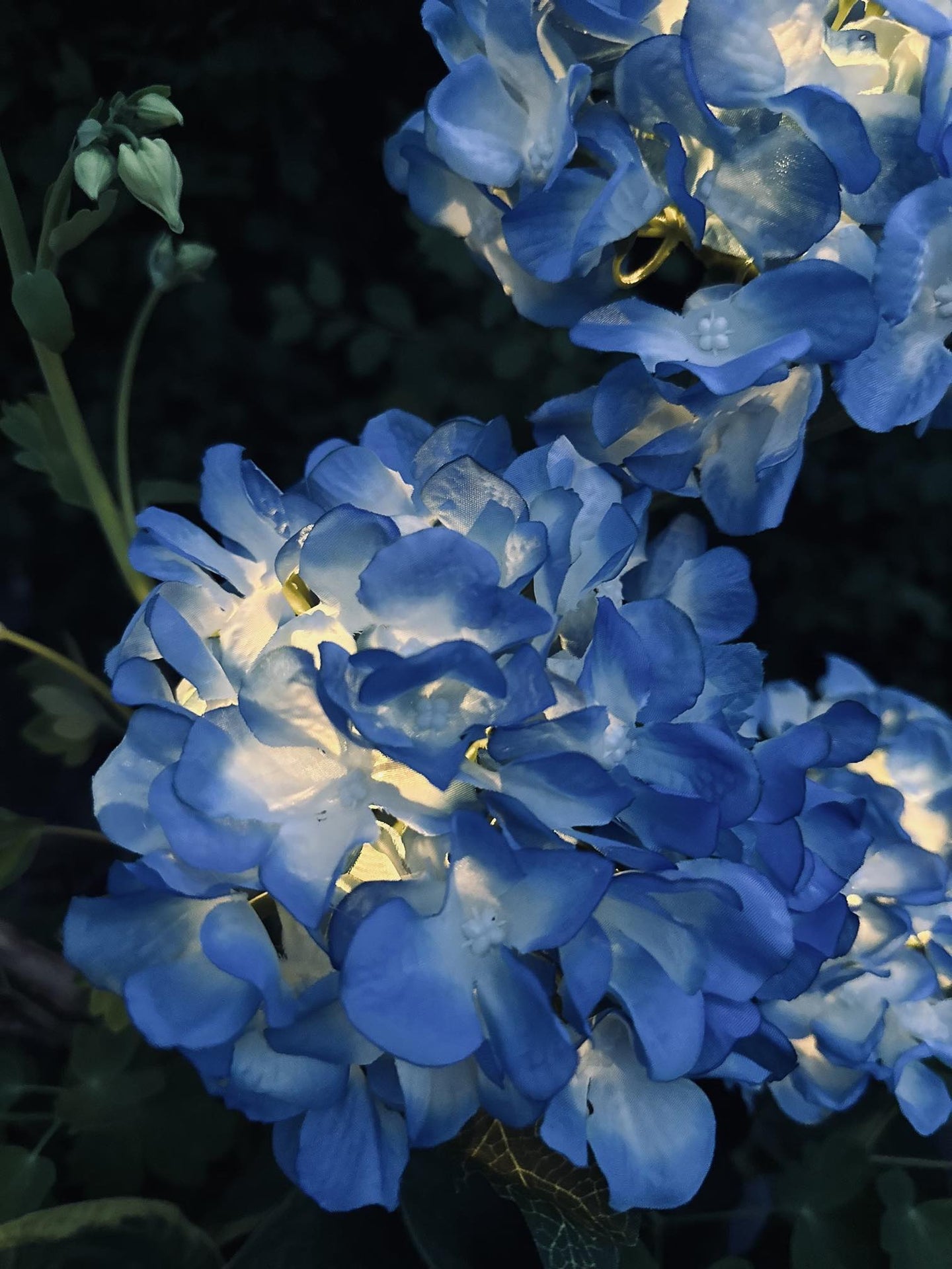 Hortensia med solceller – Blå - VIAMAJA.DK