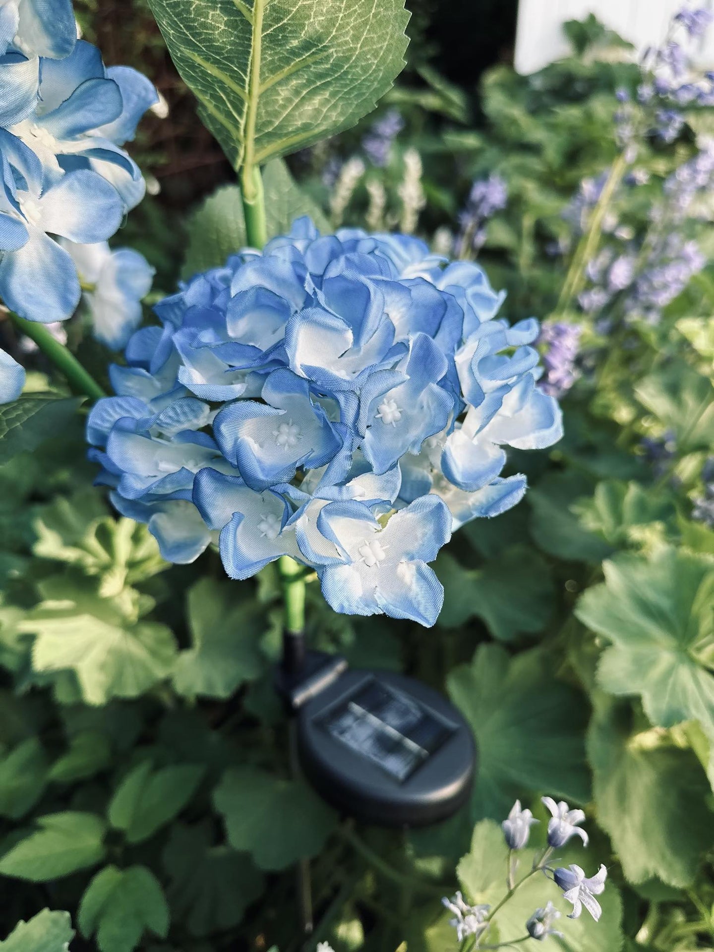 Hortensia med solceller – Blå - VIAMAJA.DK