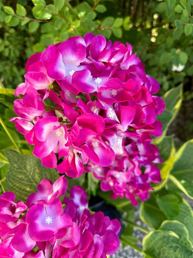 Hortensia med solceller – Pink - VIAMAJA