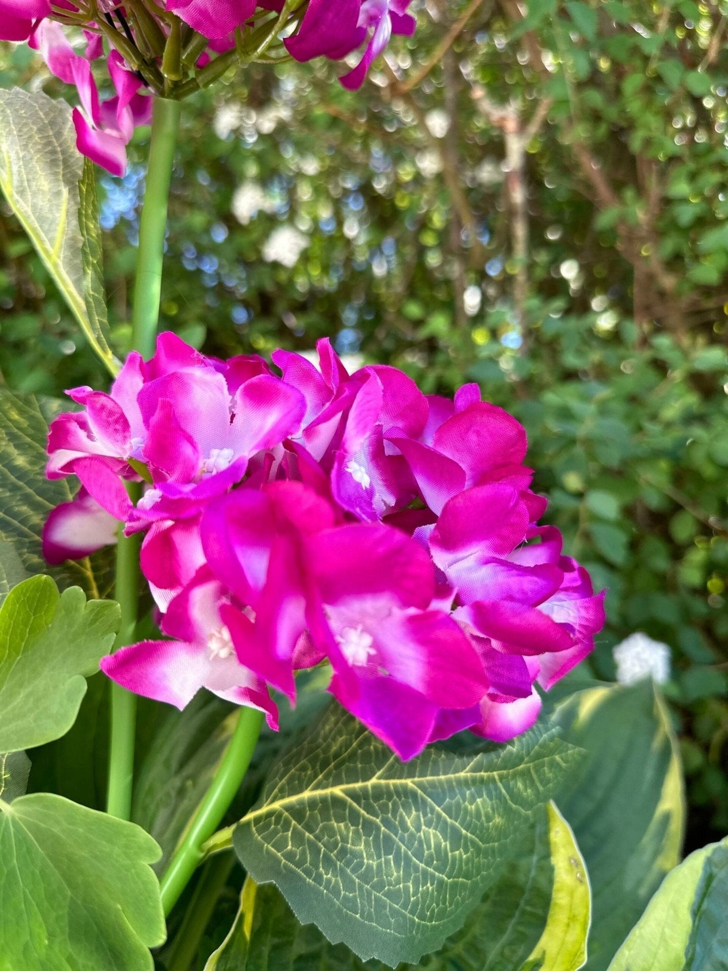 Hortensia med solceller – Pink - VIAMAJA.DK