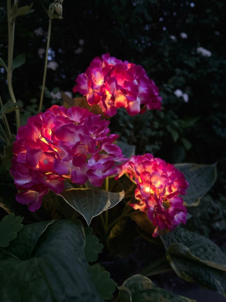 Hortensia med solceller – Pink - VIAMAJA