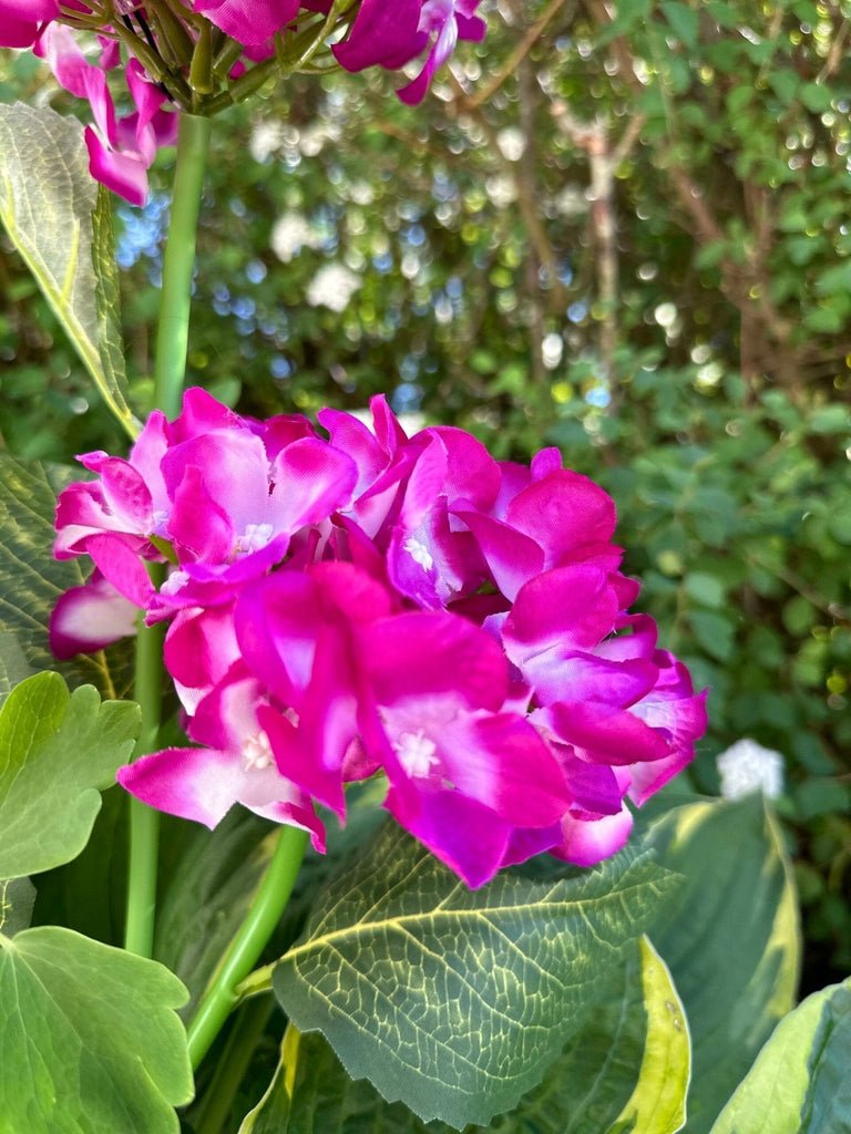 Hortensia med solceller – Pink - VIAMAJA