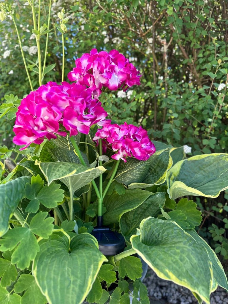 Hortensia med solceller – Pink - VIAMAJA