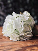 Hortensia Lime/vit