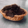 Hundkorg i kraftig rattan – Liten