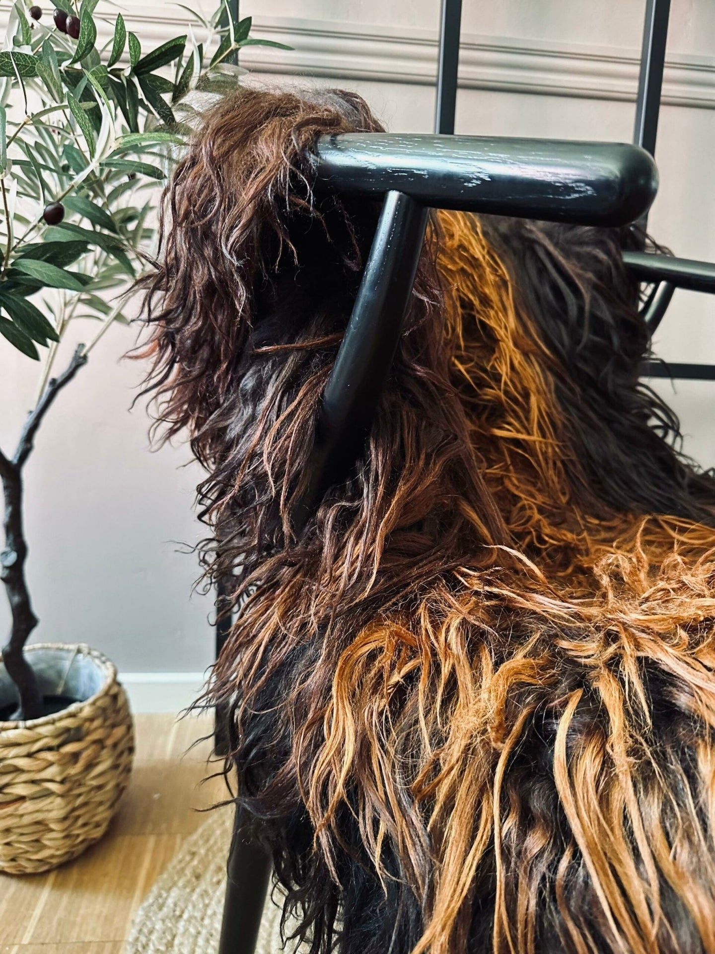 Islandsk lammeskind – Curly dark ginger - VIAMAJA.DK
