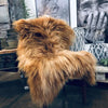 Isländskt fårskinn - Ginger