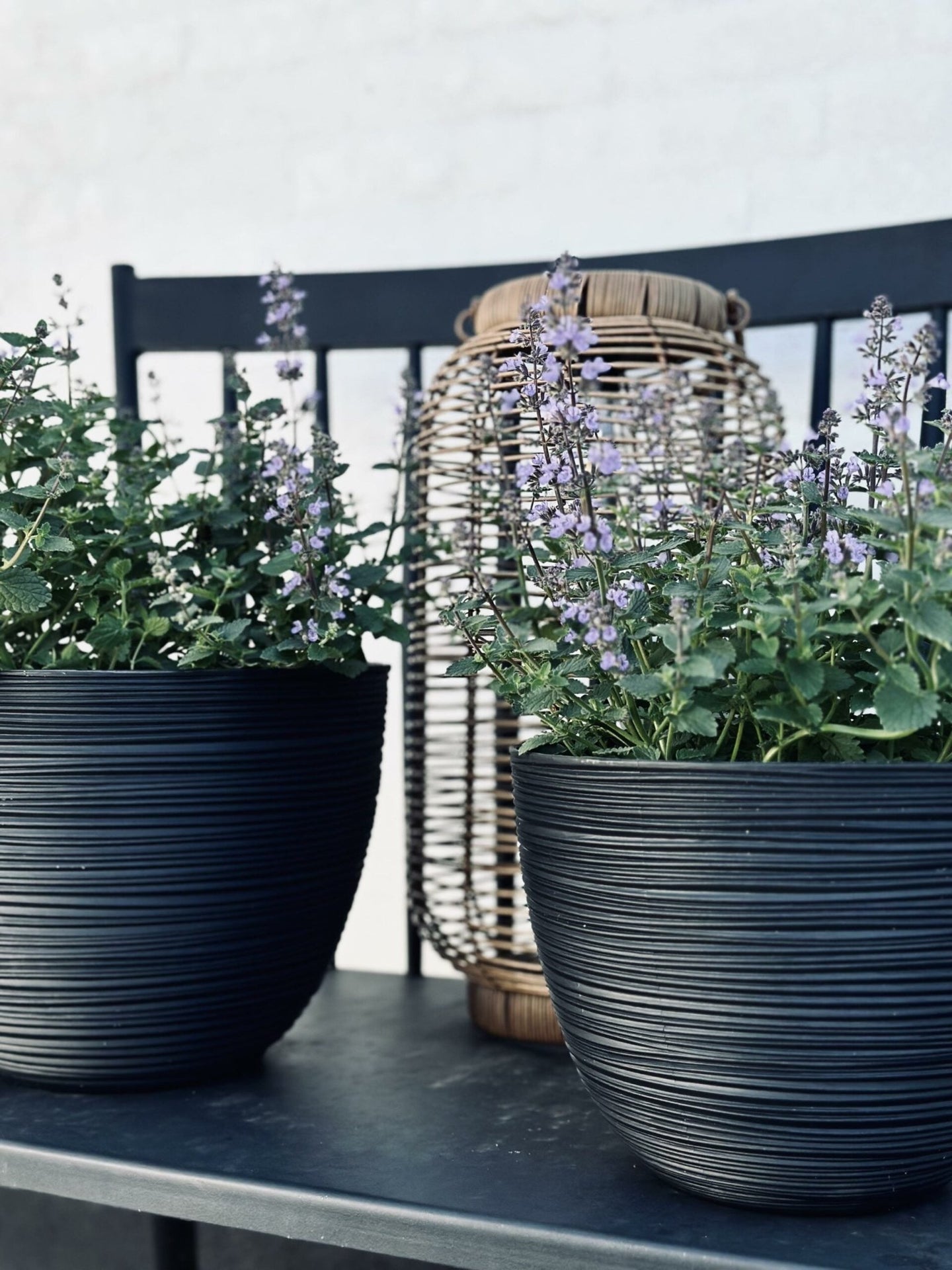 Räfflad blomkruka, svart, medium - VIAMAJA.DK