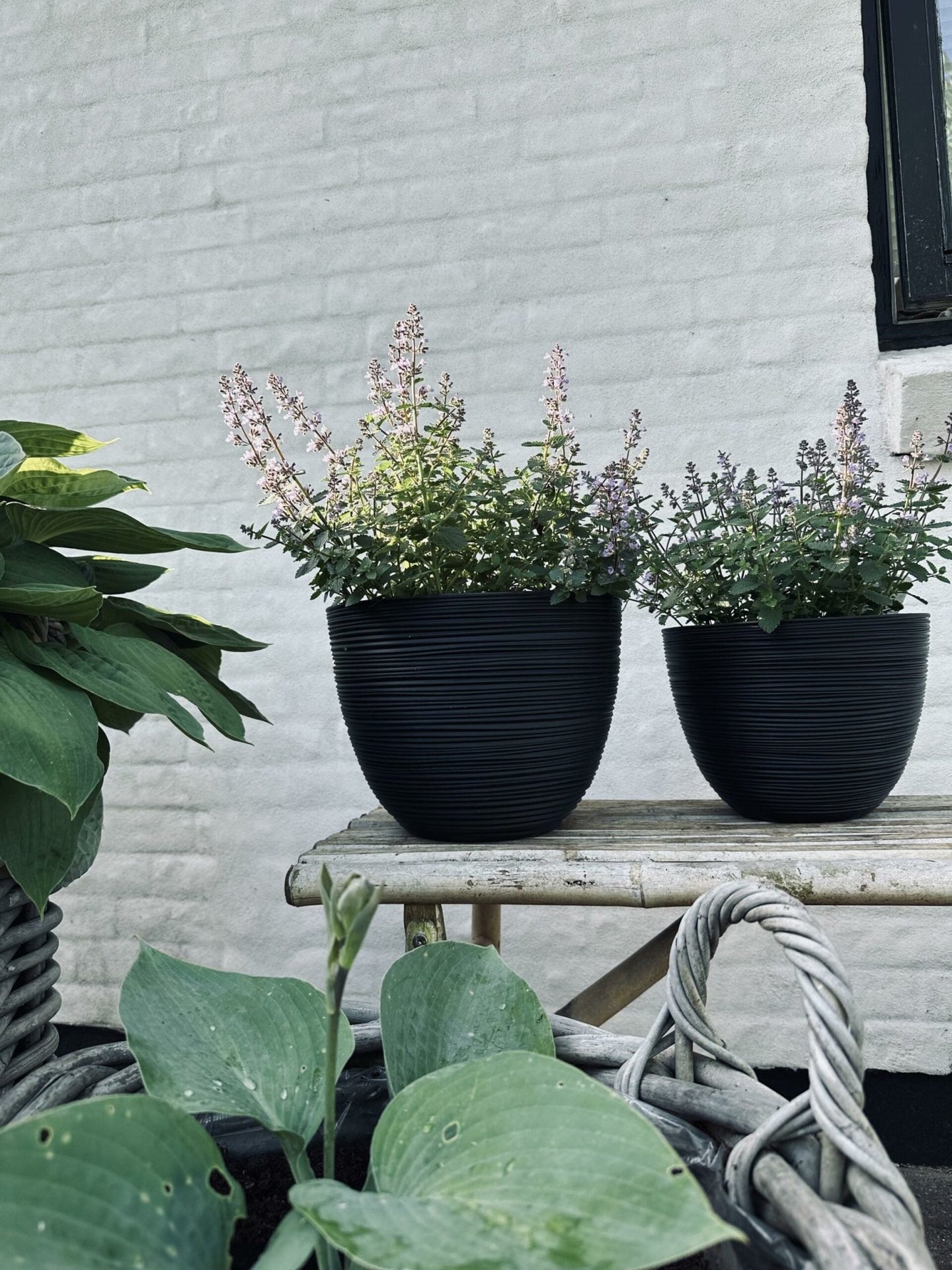 Räfflad blomkruka, svart, medium - VIAMAJA.DK