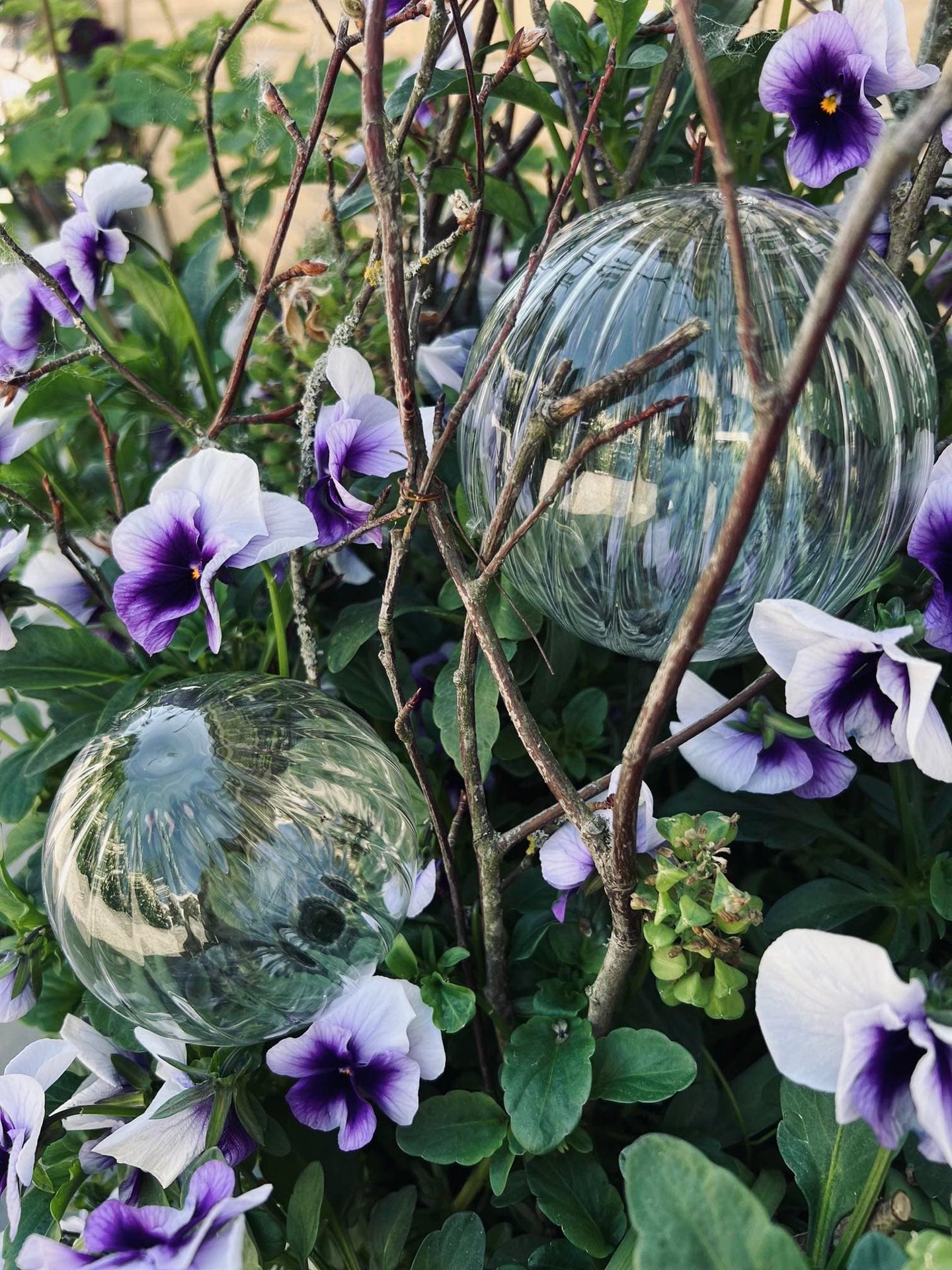 Kugler i klar glas - Sæt af 2 stk til vanding af blomster - VIAMAJA.DK