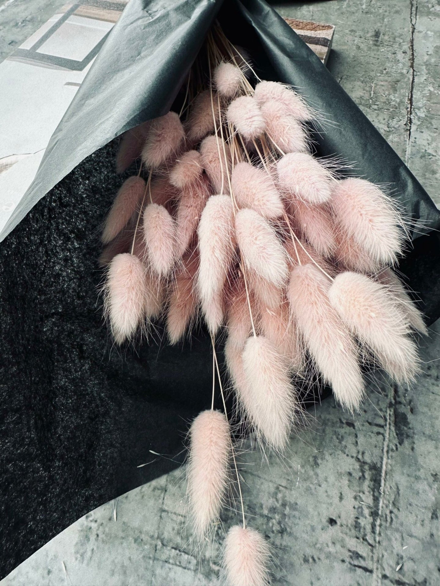 Lagurus – Rose - VIAMAJA.DK