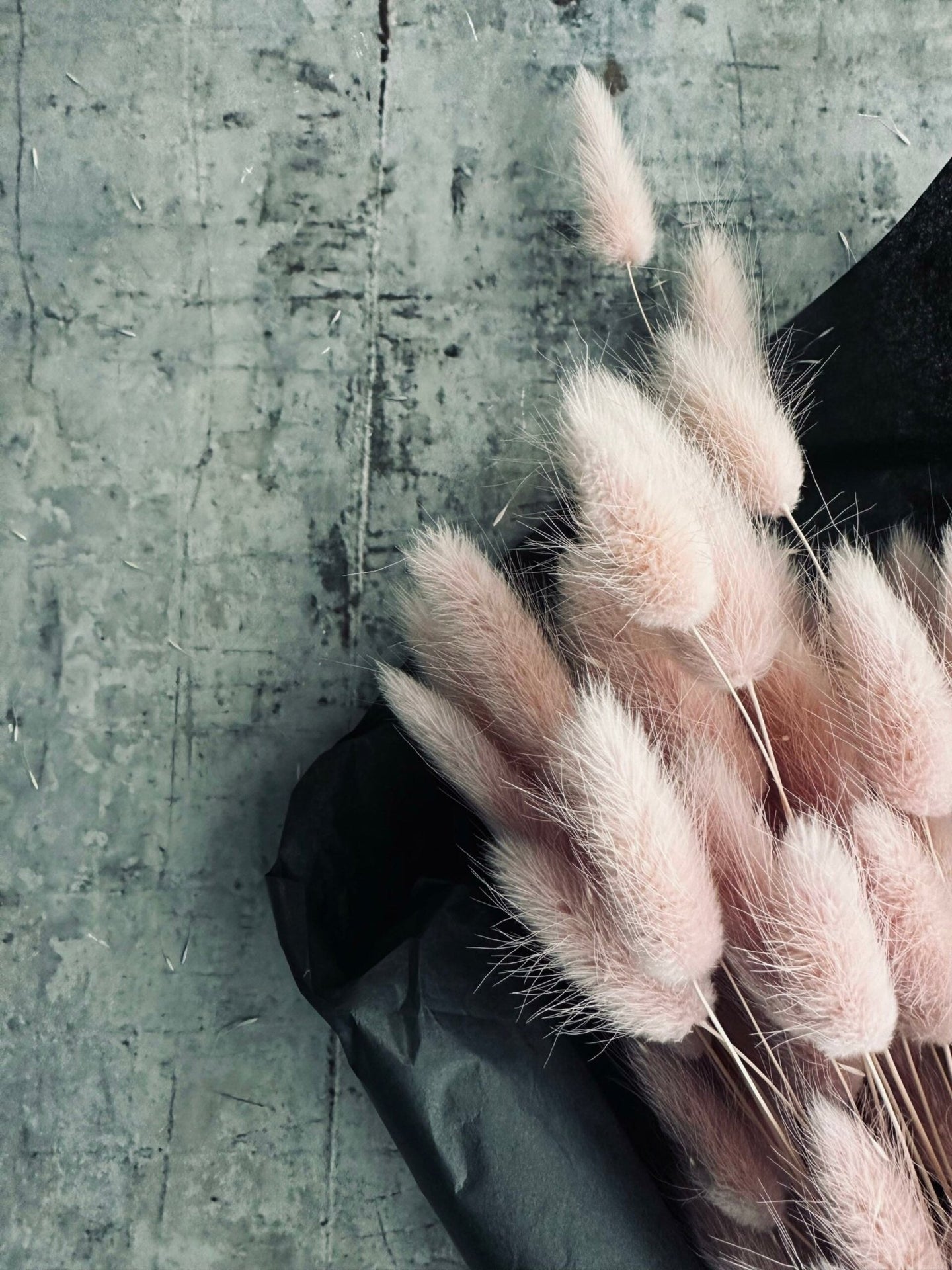 Lagurus – Rose - VIAMAJA.DK