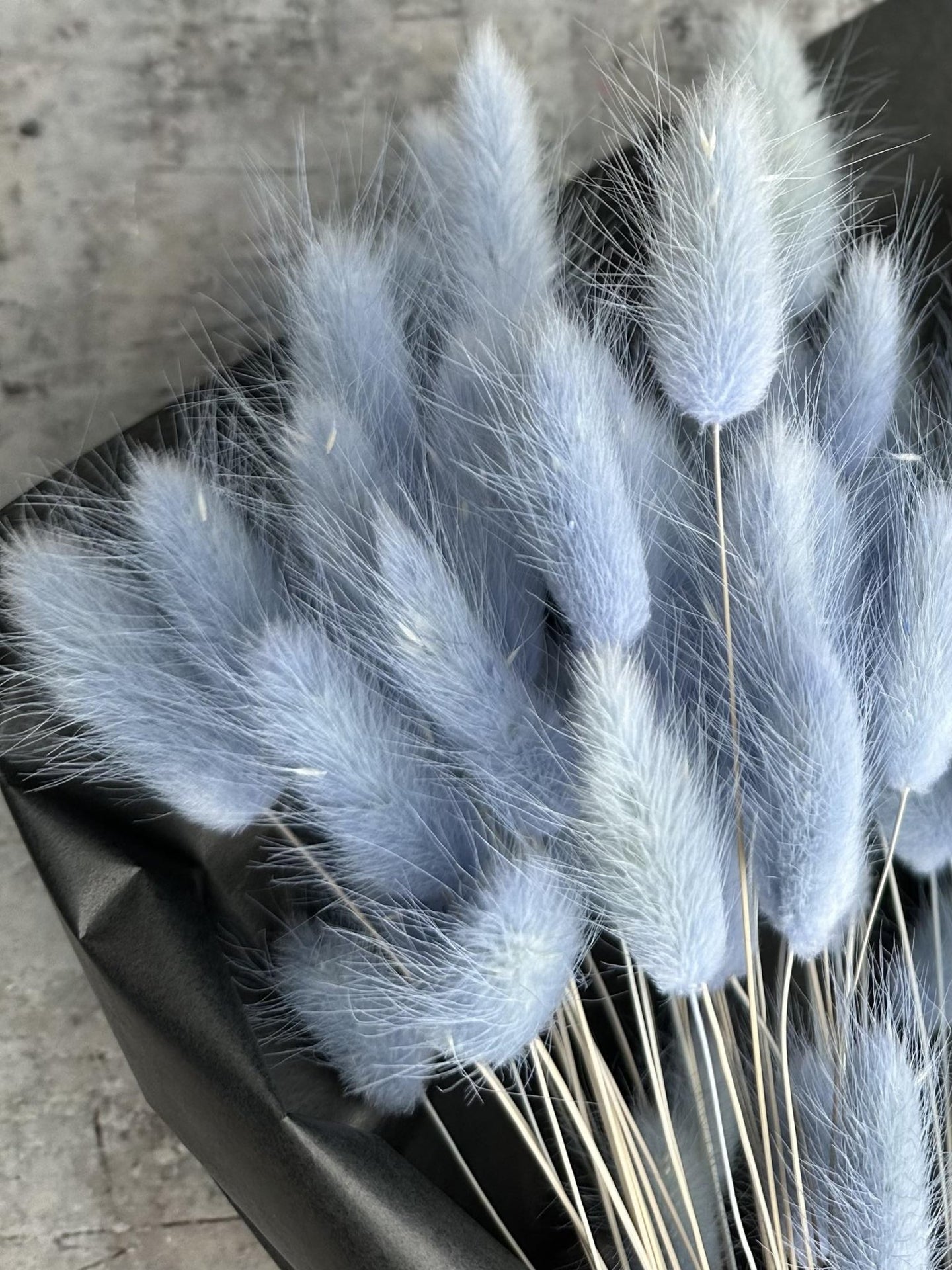 Lagurus – Skyblue - VIAMAJA.DK