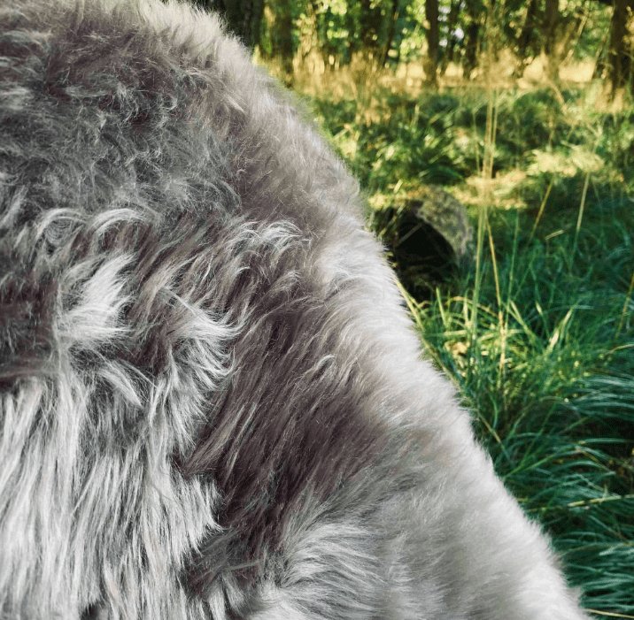 Lammeskind fra New Zealand – Mocca 85x55cm - VIAMAJA.DK