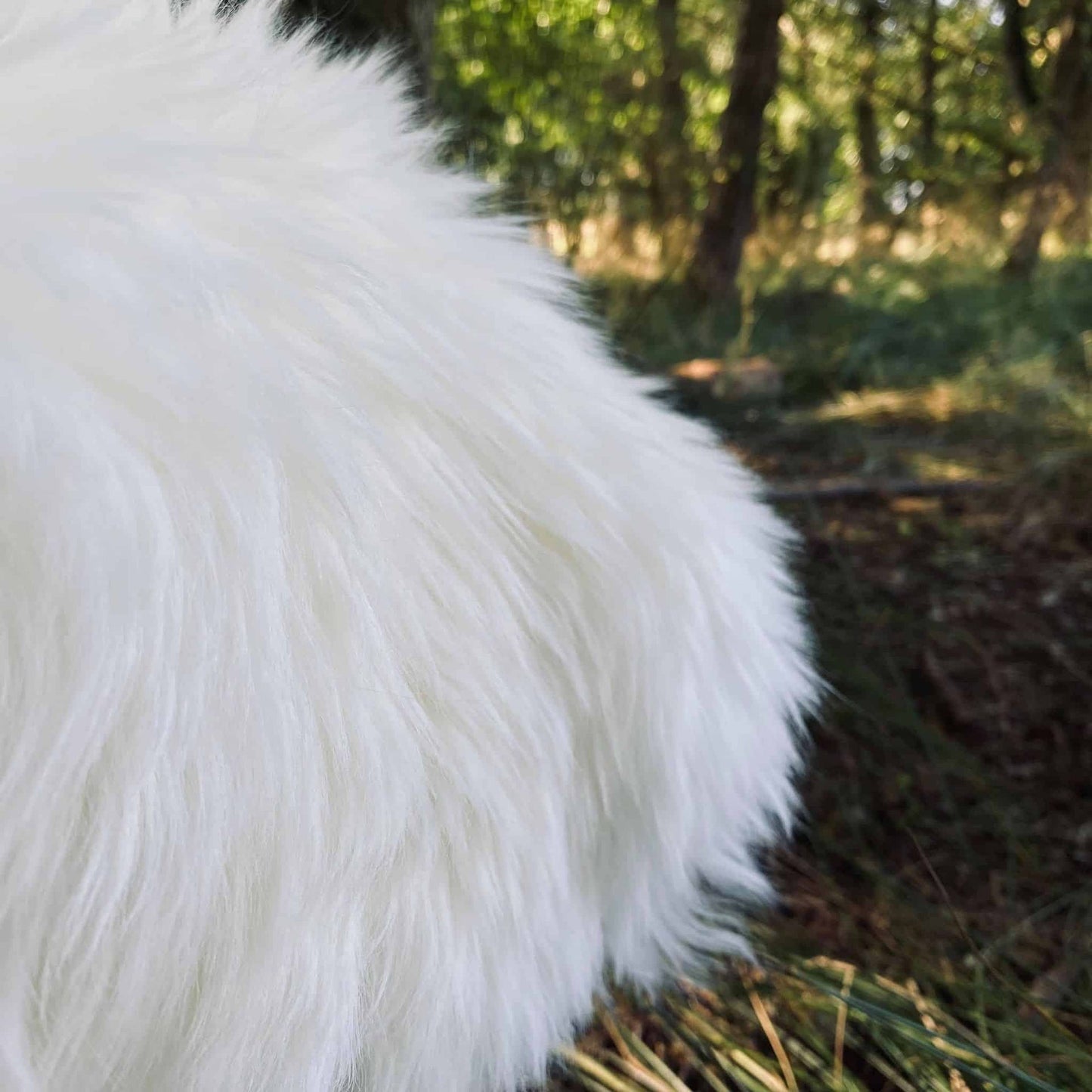 Lammeskind – Hvidt, tykt og vamset - VIAMAJA.DK