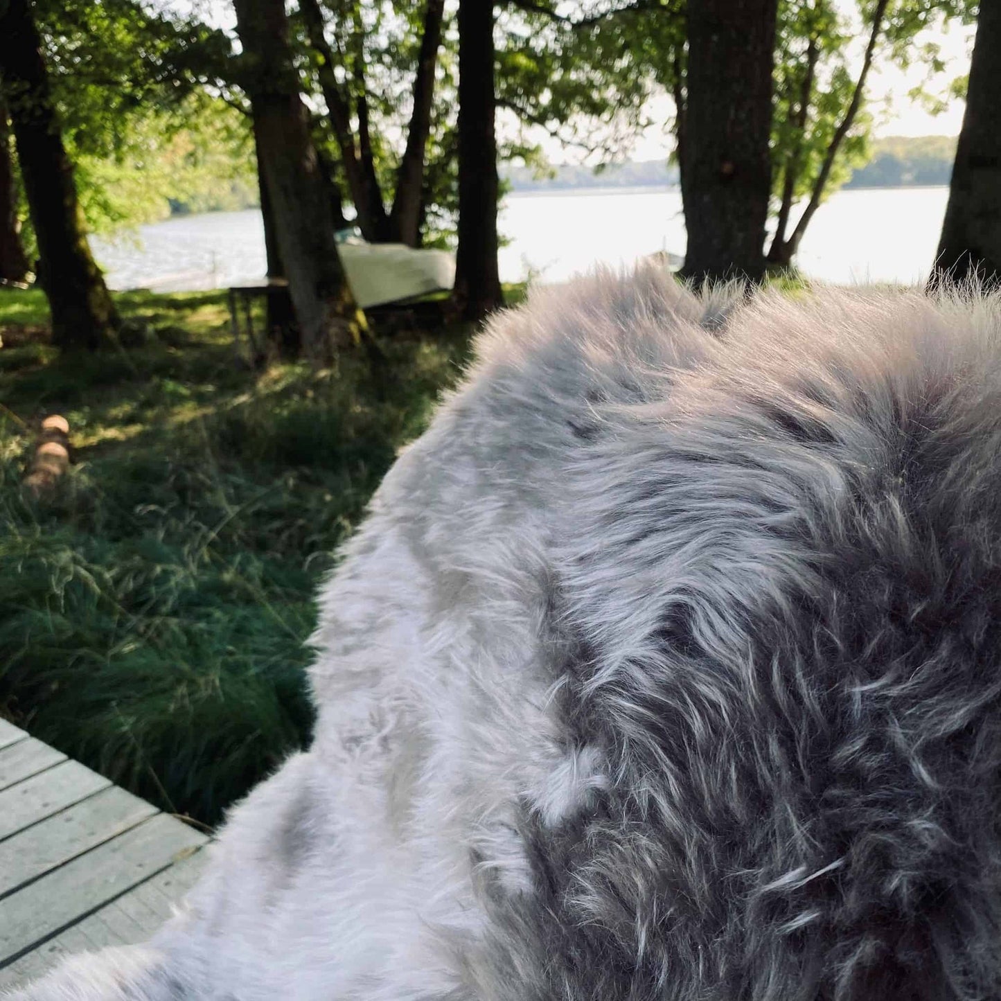 Lammeskind i flot mocca farve - VIAMAJA.DK