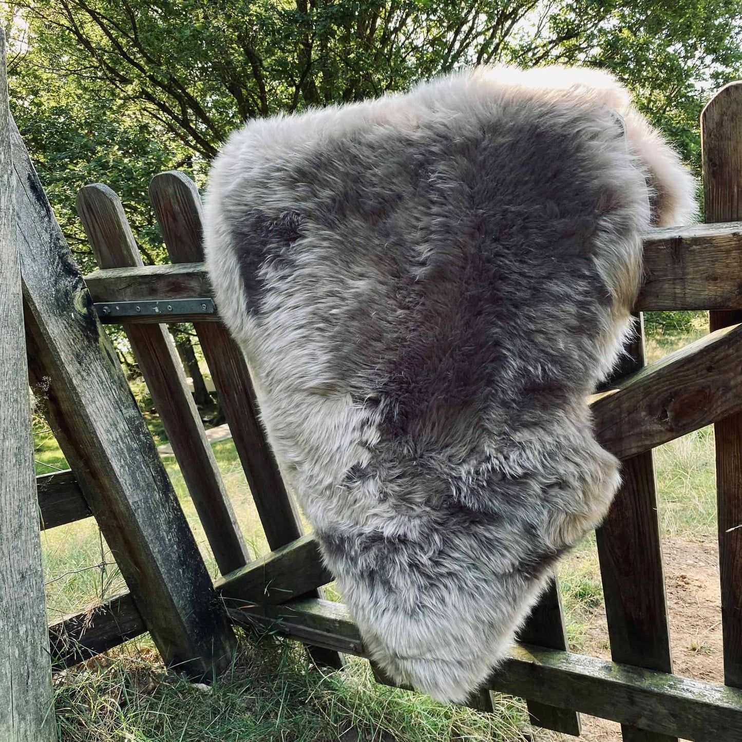 Lammeskind i flot mocca farve - VIAMAJA.DK