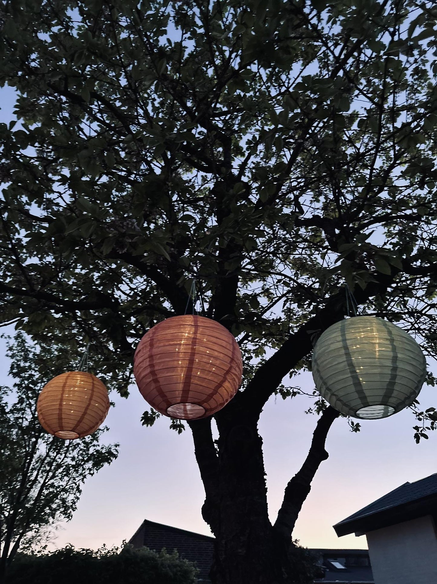 Lampe med solceller Coral - VIAMAJA.DK