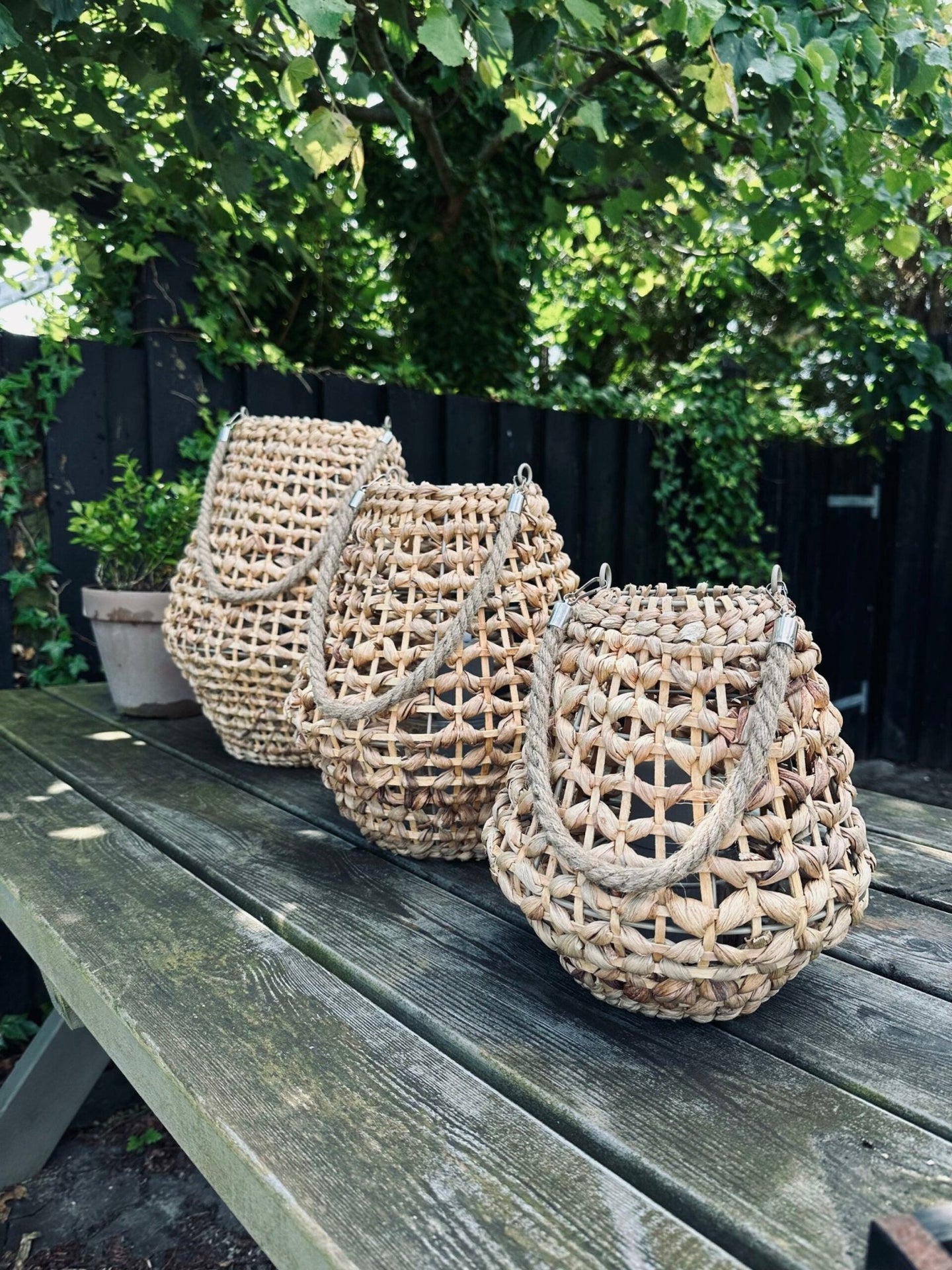 Lanterne i vandhyacint – Large - VIAMAJA.DK