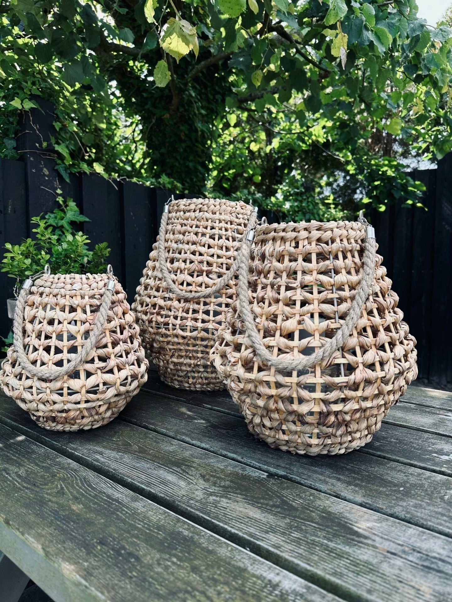 Lanterne i vandhyacint – Large - VIAMAJA.DK