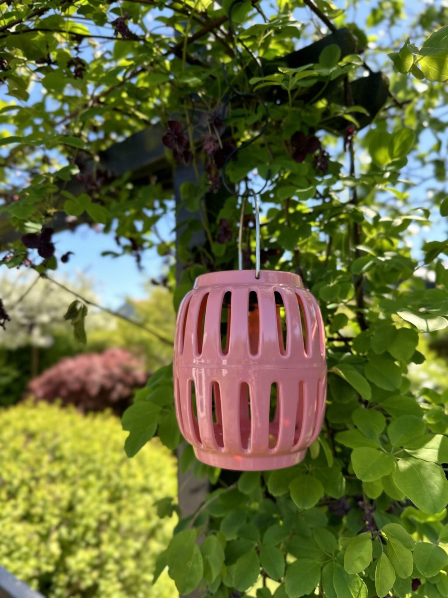 Lanterne med solceller - Coral summer - VIAMAJA.DK