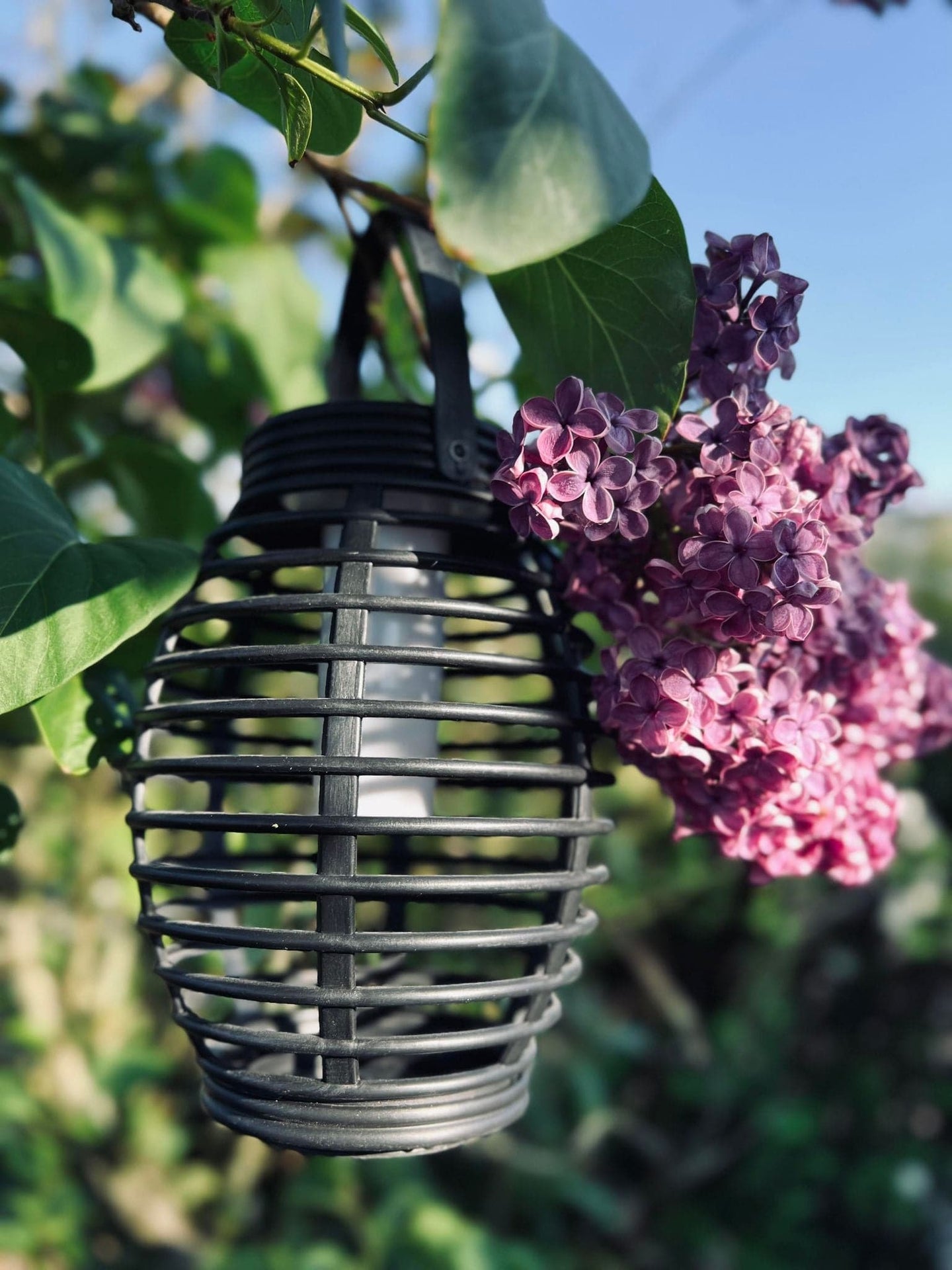 Lanterne med solceller - Stor model - Tilbud med 2 stk - VIAMAJA.DK