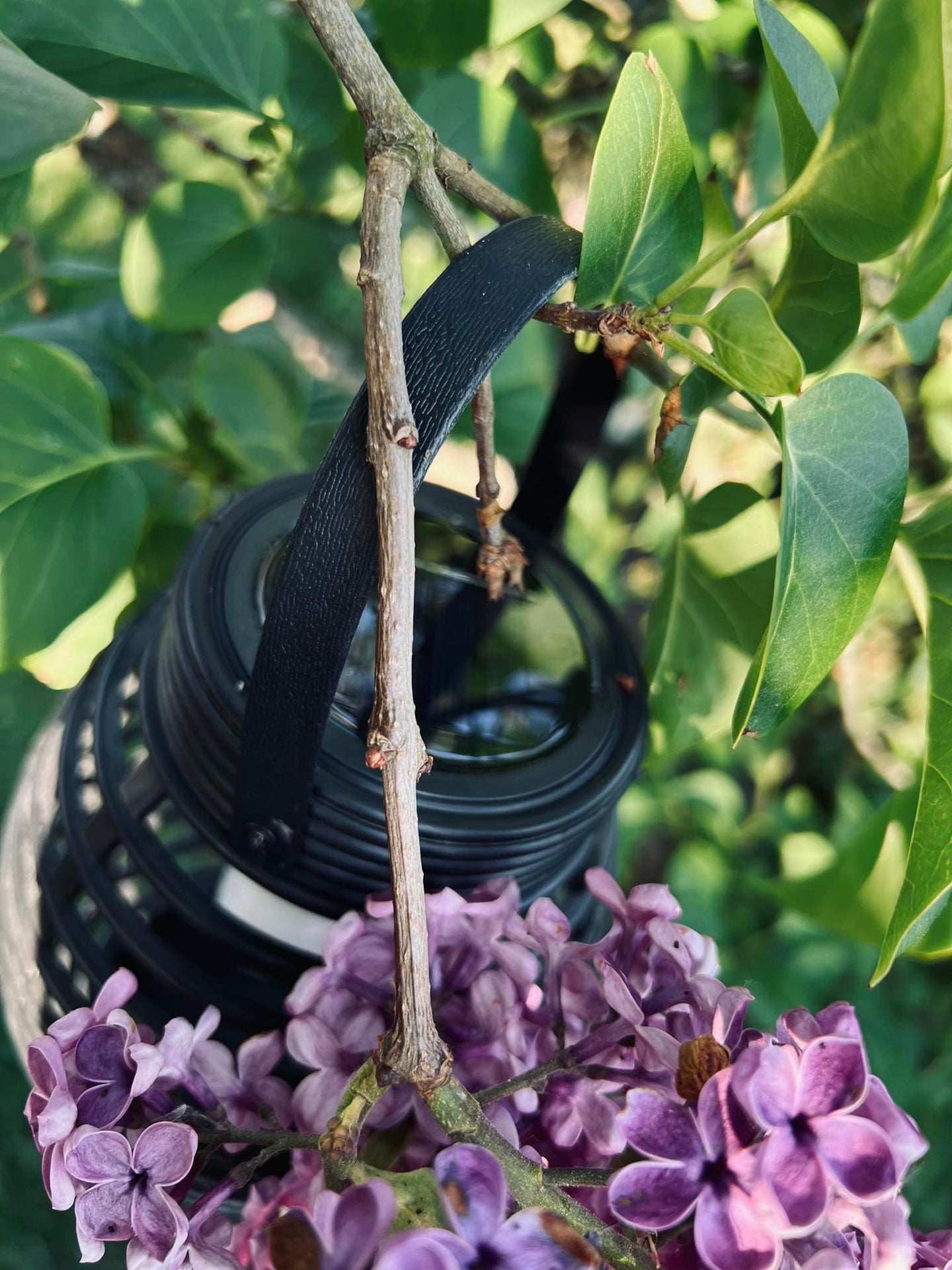 Lanterne med solceller - Stor model - Tilbud med 2 stk - VIAMAJA.DK