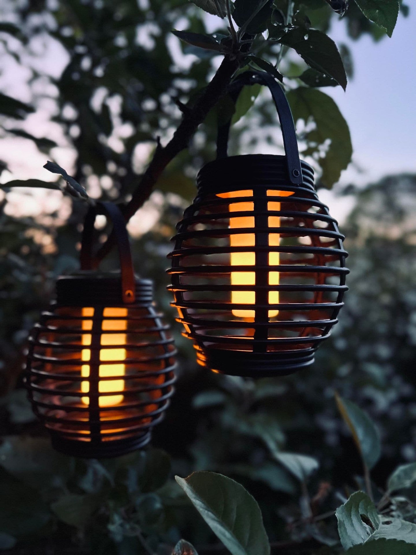 Lanterne med solceller - Stor model - Tilbud med 2 stk - VIAMAJA.DK