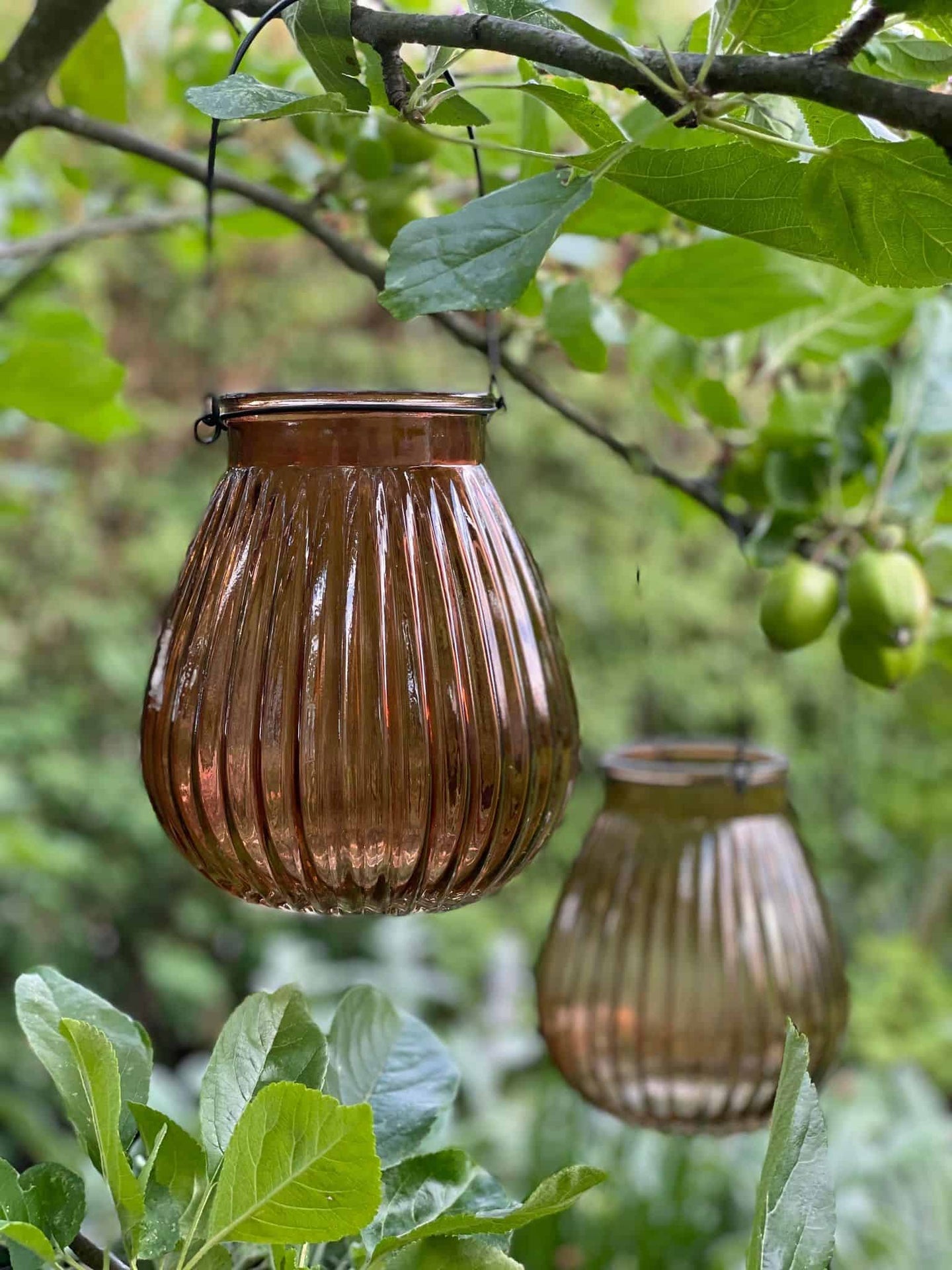 Lanterne – Rillet glas Gylden - VIAMAJA.DK