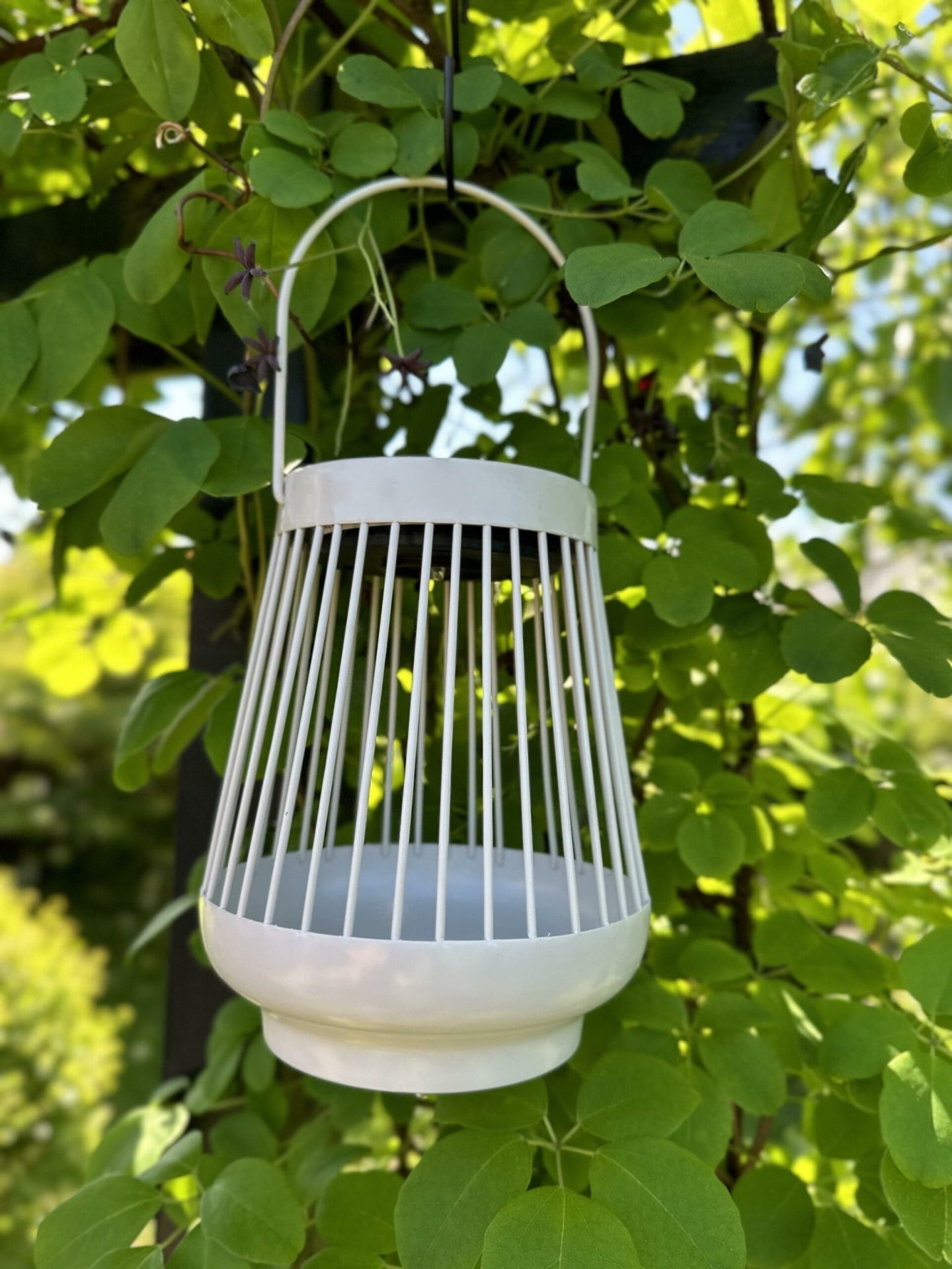 Lanterne ZANDA med solceller – Creme - VIAMAJA.DK