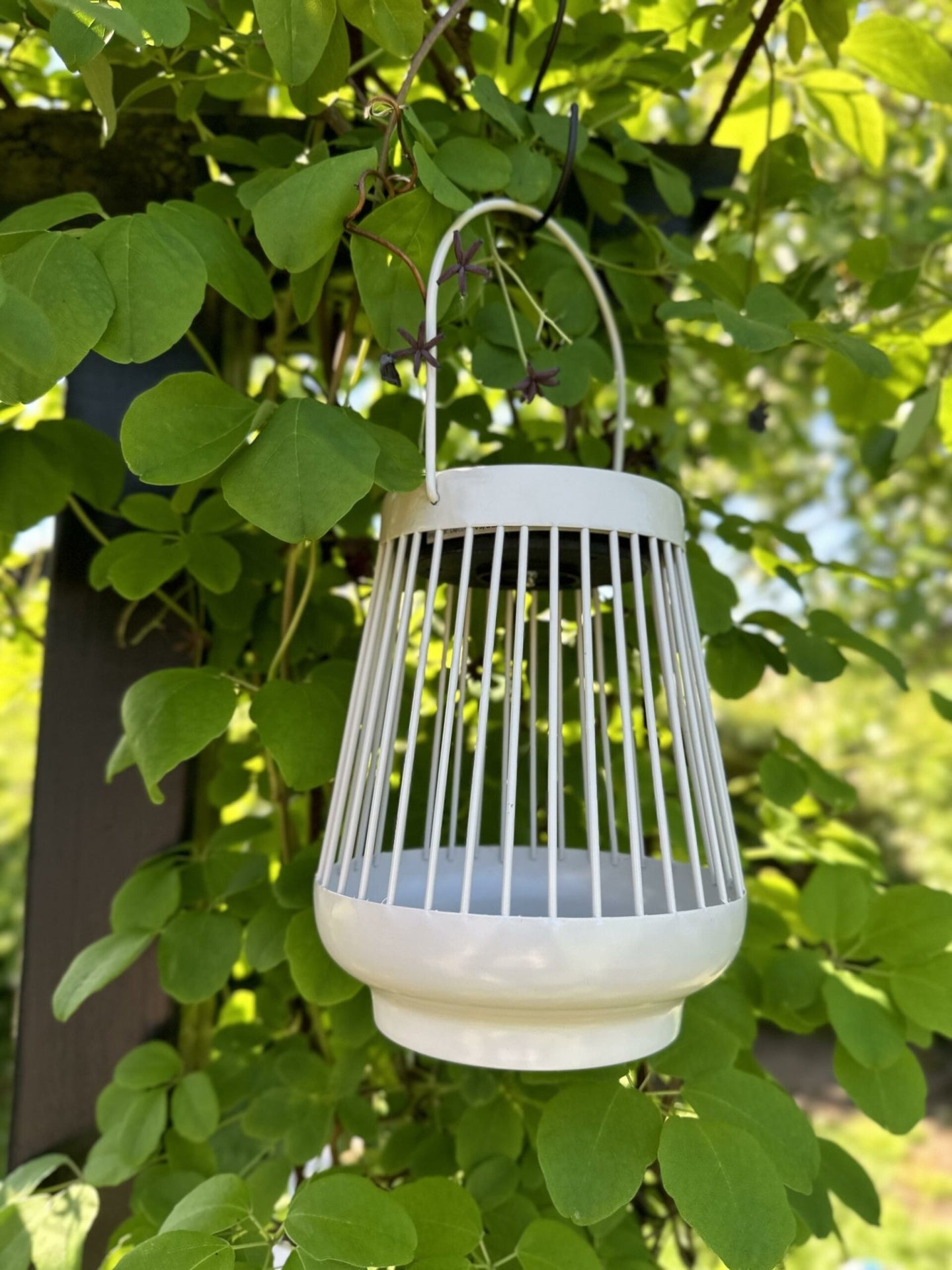 Lanterne ZANDA med solceller – Creme - VIAMAJA.DK