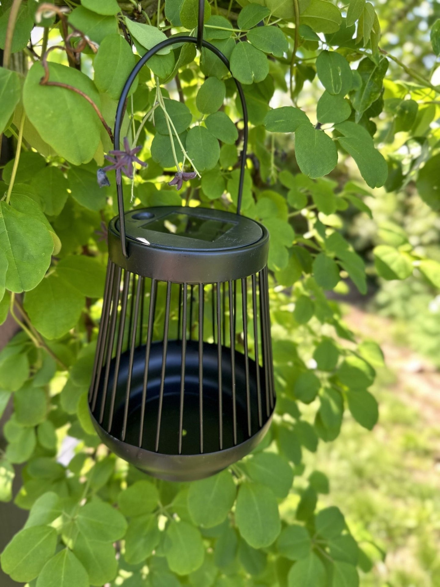 Lanterne ZANDA med solceller – Sort - VIAMAJA.DK