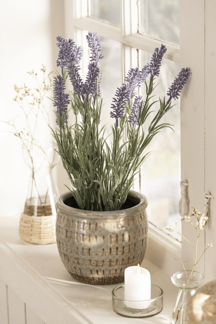 Lavendel – 40 cm - VIAMAJA.DK