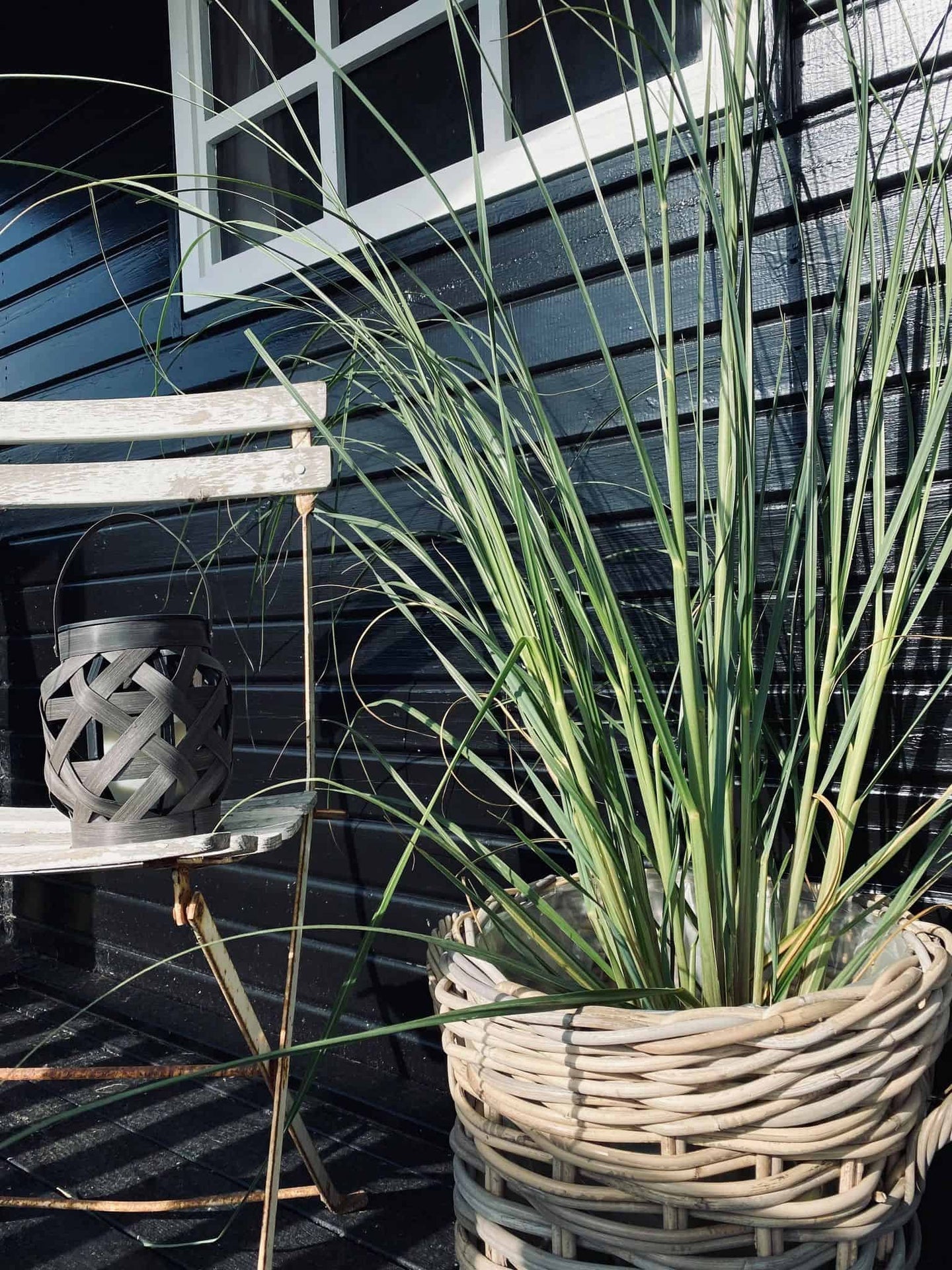 LED Lanterne med vokslys og timer - VIAMAJA.DK