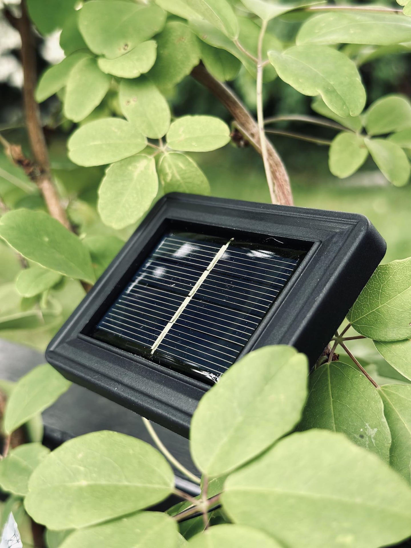 LED Lyskæde med solceller - Udendørs med 10 pære - VIAMAJA.DK