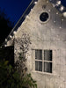 LED-ljusnät med 480 LED - Godkänt för inomhus och utomhus med timer