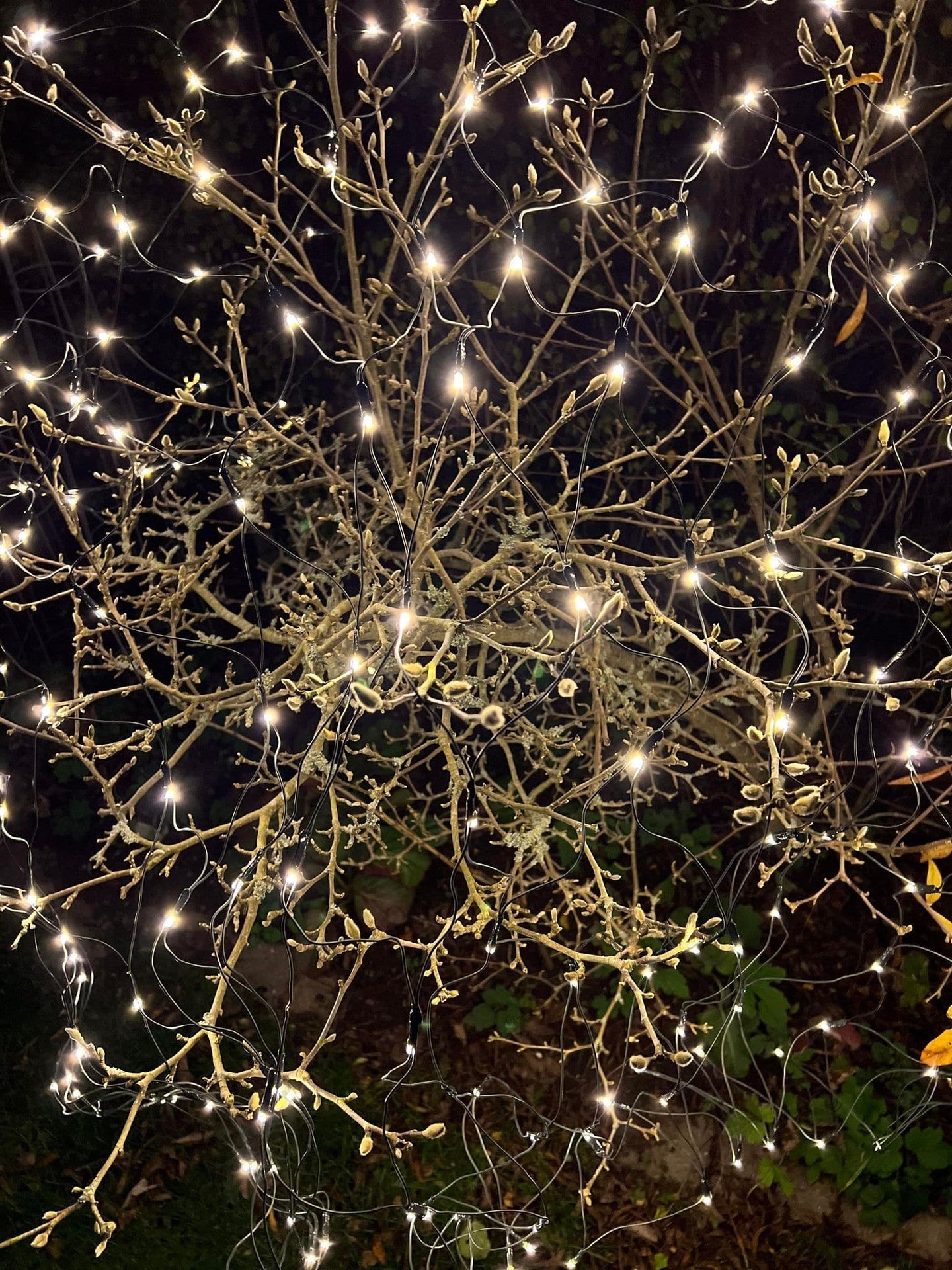 Led Lysnet med 480 lys - Godkendt til inde og ude med Timer - VIAMAJA.DK