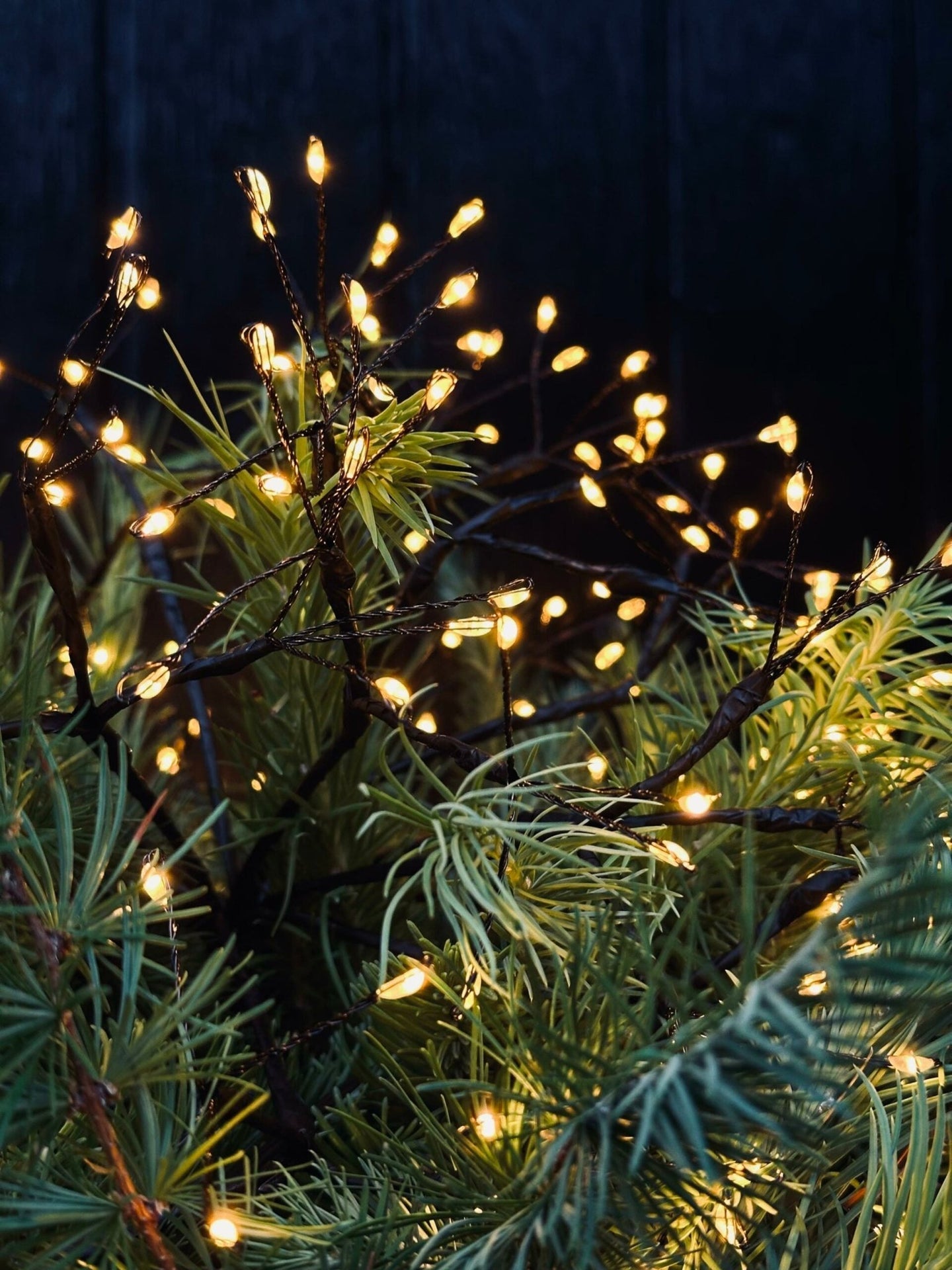 Lyskæde BALL med 240 led lys - VIAMAJA.DK