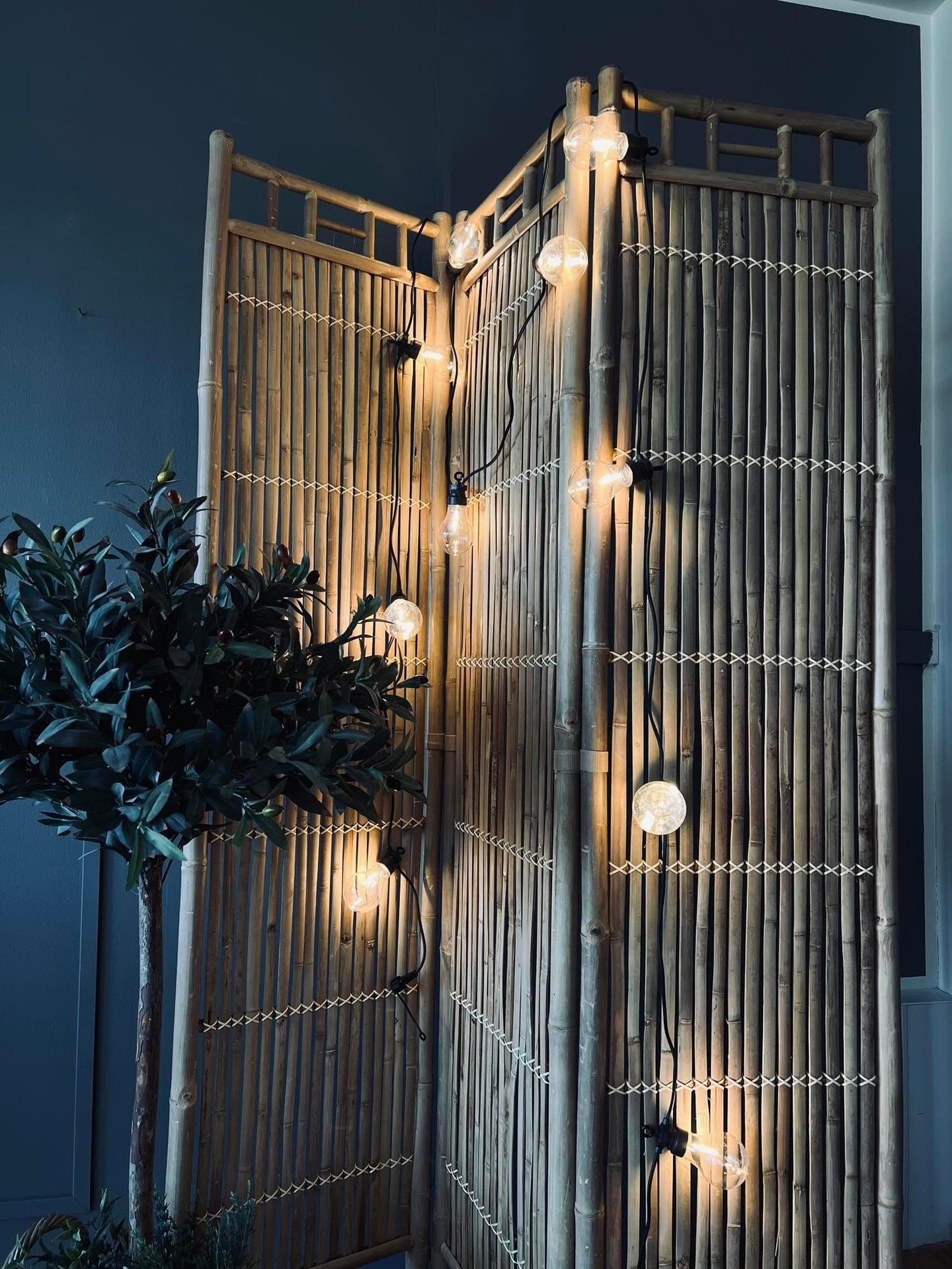 Lyskæde LED varm hvid - Kan forlænges - Godkendt til ude - VIAMAJA.DK