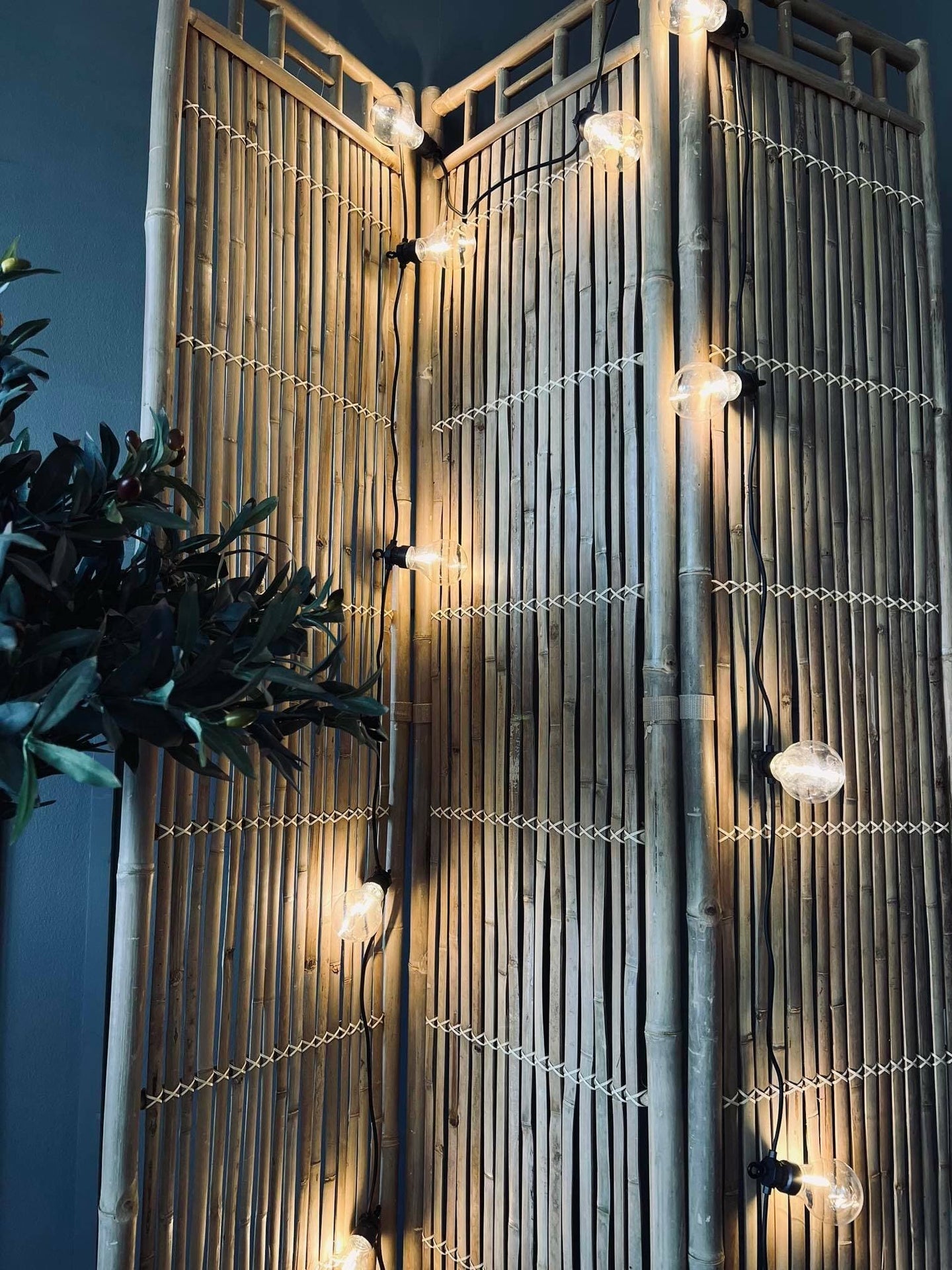 Lyskæde LED varm hvid - Kan forlænges - Godkendt til ude - VIAMAJA.DK